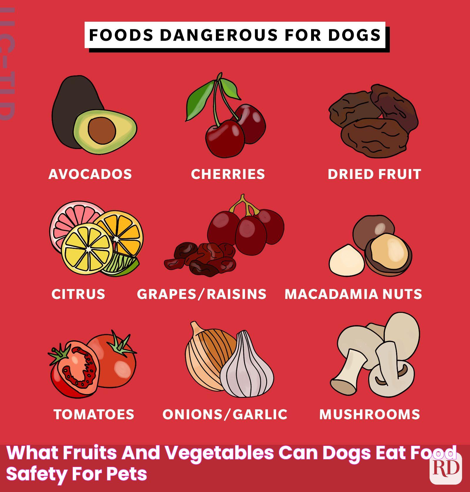 What Fruits and Vegetables Can Dogs Eat? Food Safety for Pets