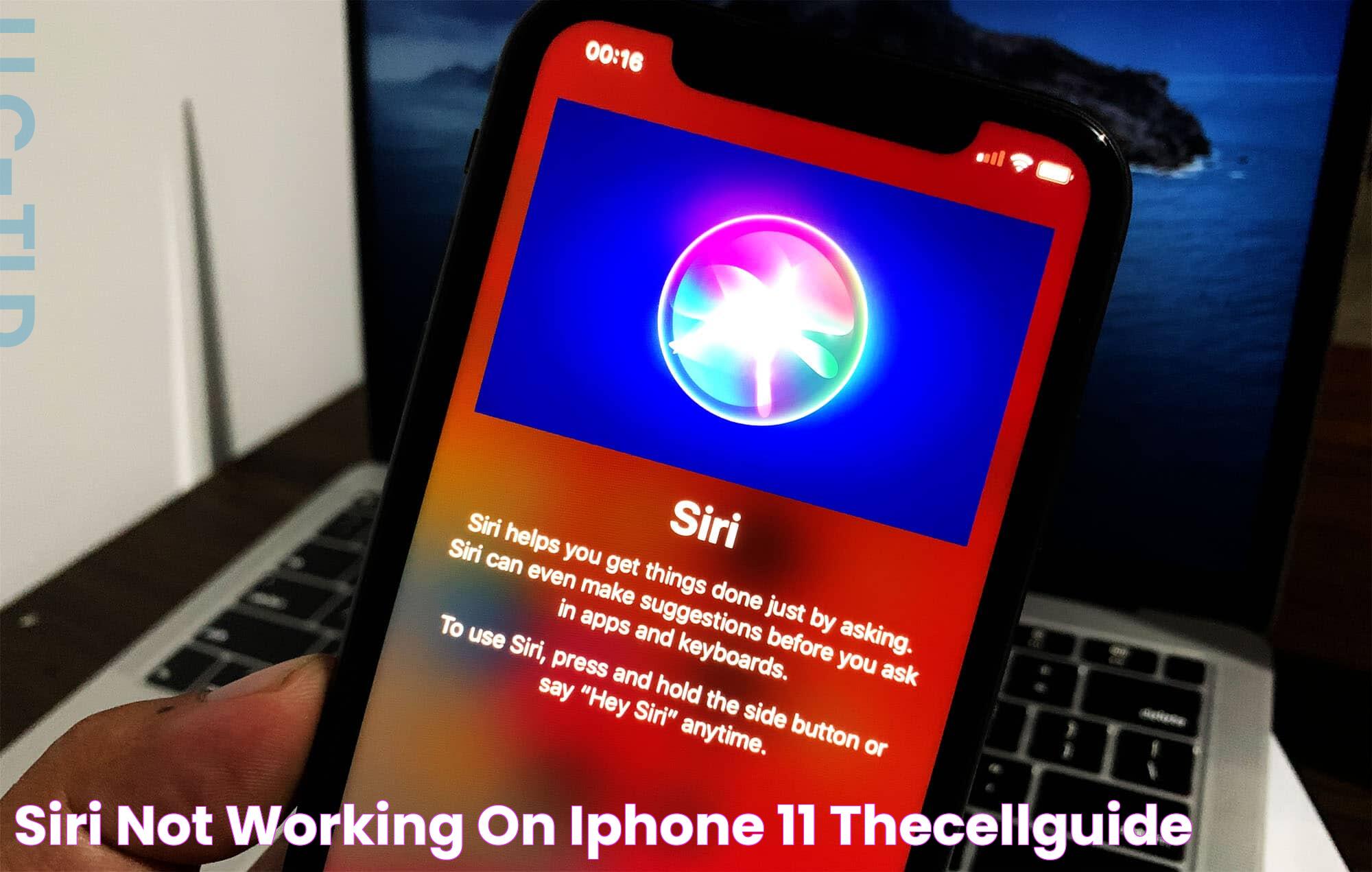 siri not working on iphone 11 TheCellGuide