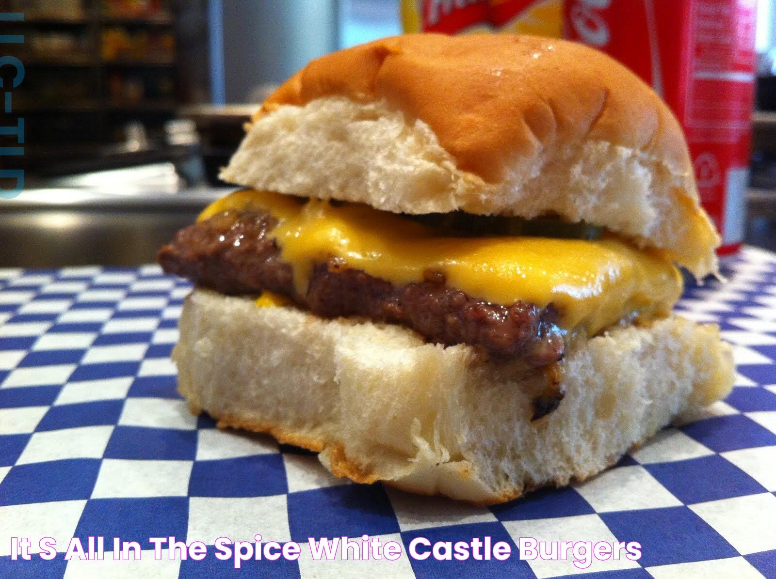 It's All in the Spice White castle burgers