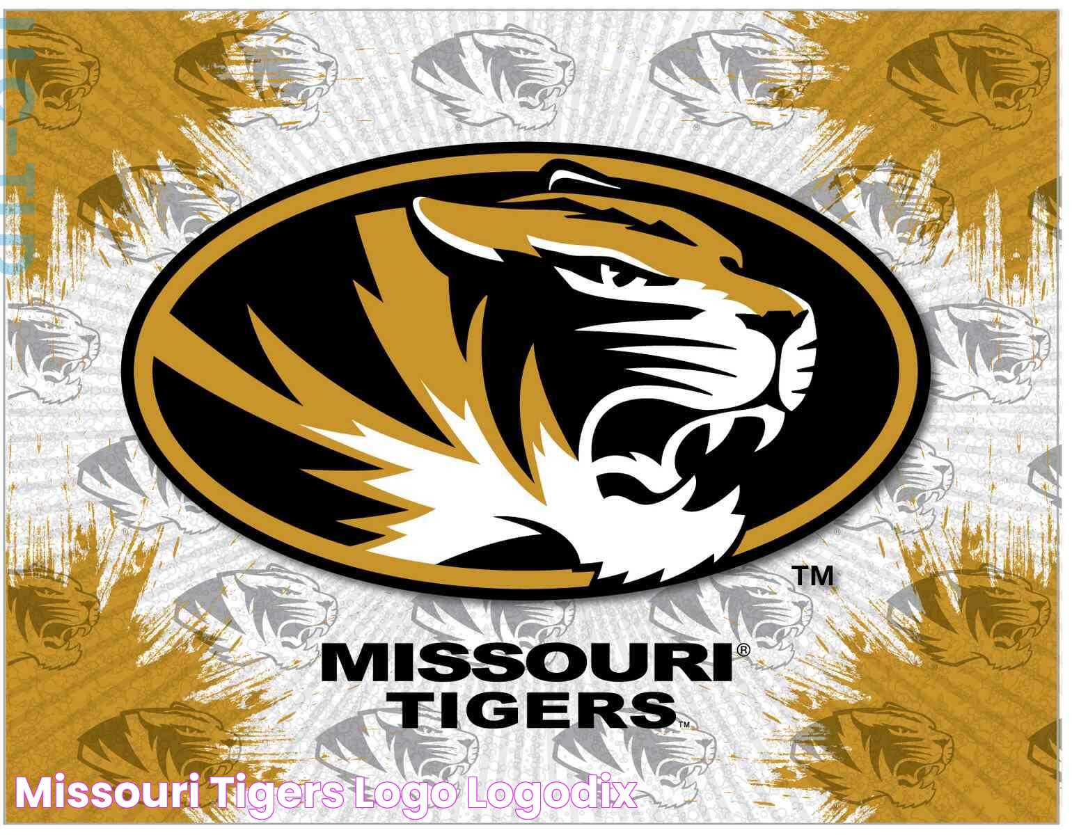 Missouri Tigers: A Comprehensive Guide To The Team's Legacy And Impact