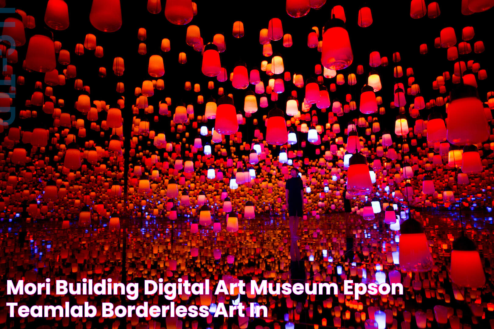 TeamLab Borderless Mori Building Digital Art Museum: A New Era Of Immersive Art