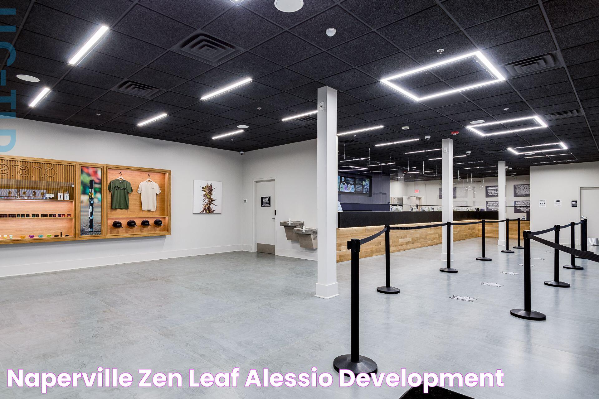 Naperville Zen Leaf Alessio Development