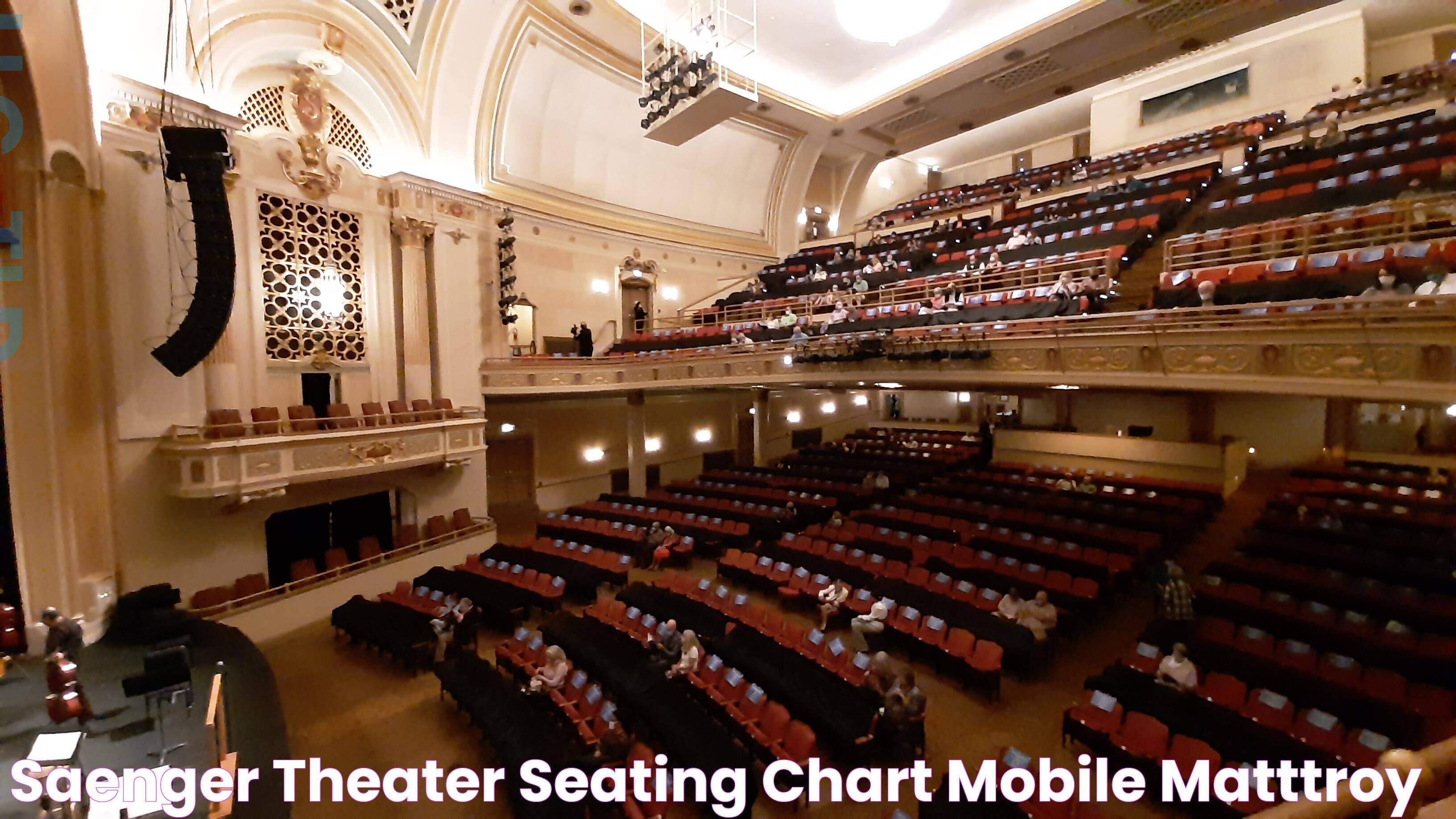 Saenger Theater Seating Chart Mobile Matttroy