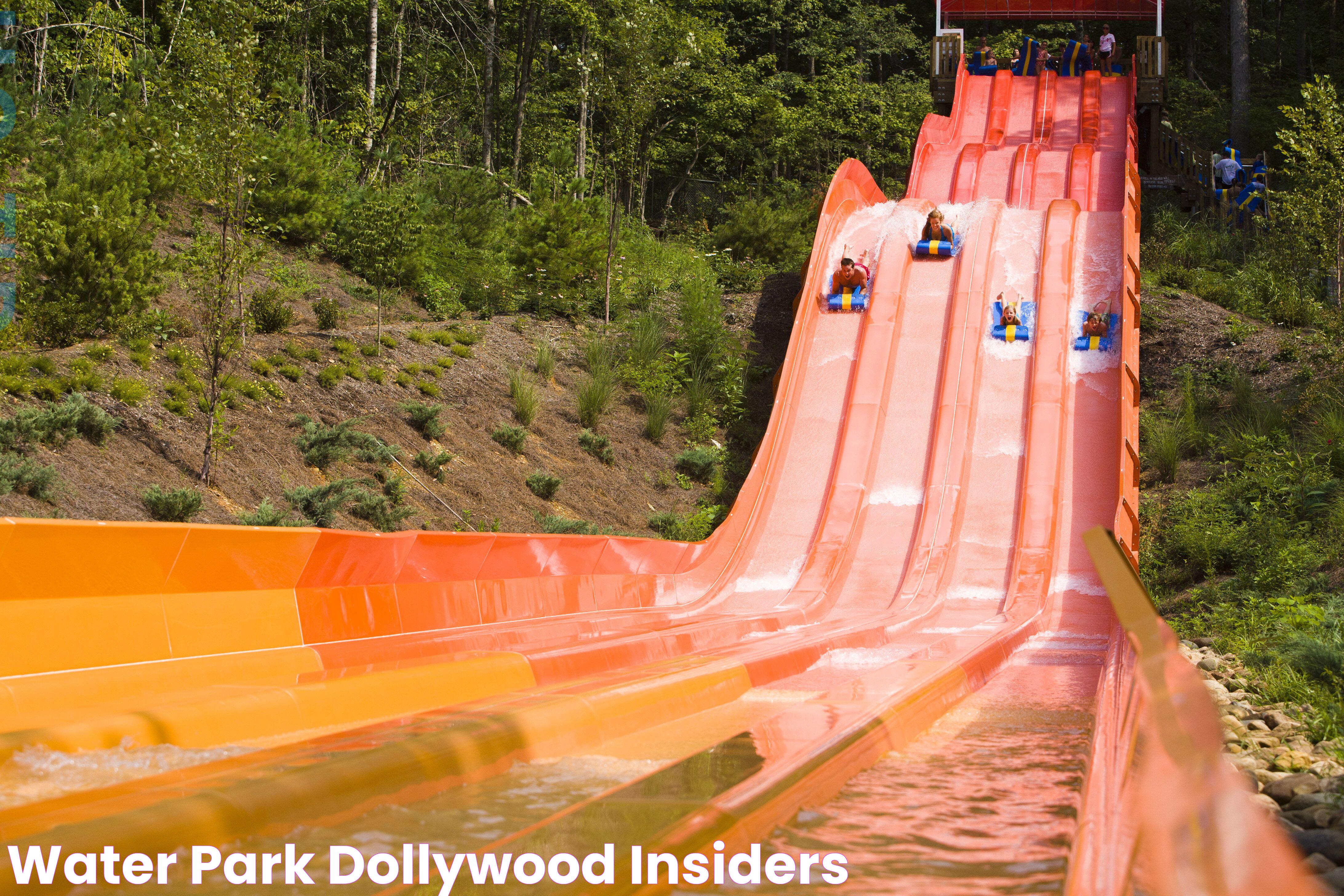 Dollywood Water Park: Your Ultimate Guide To Fun And Adventure