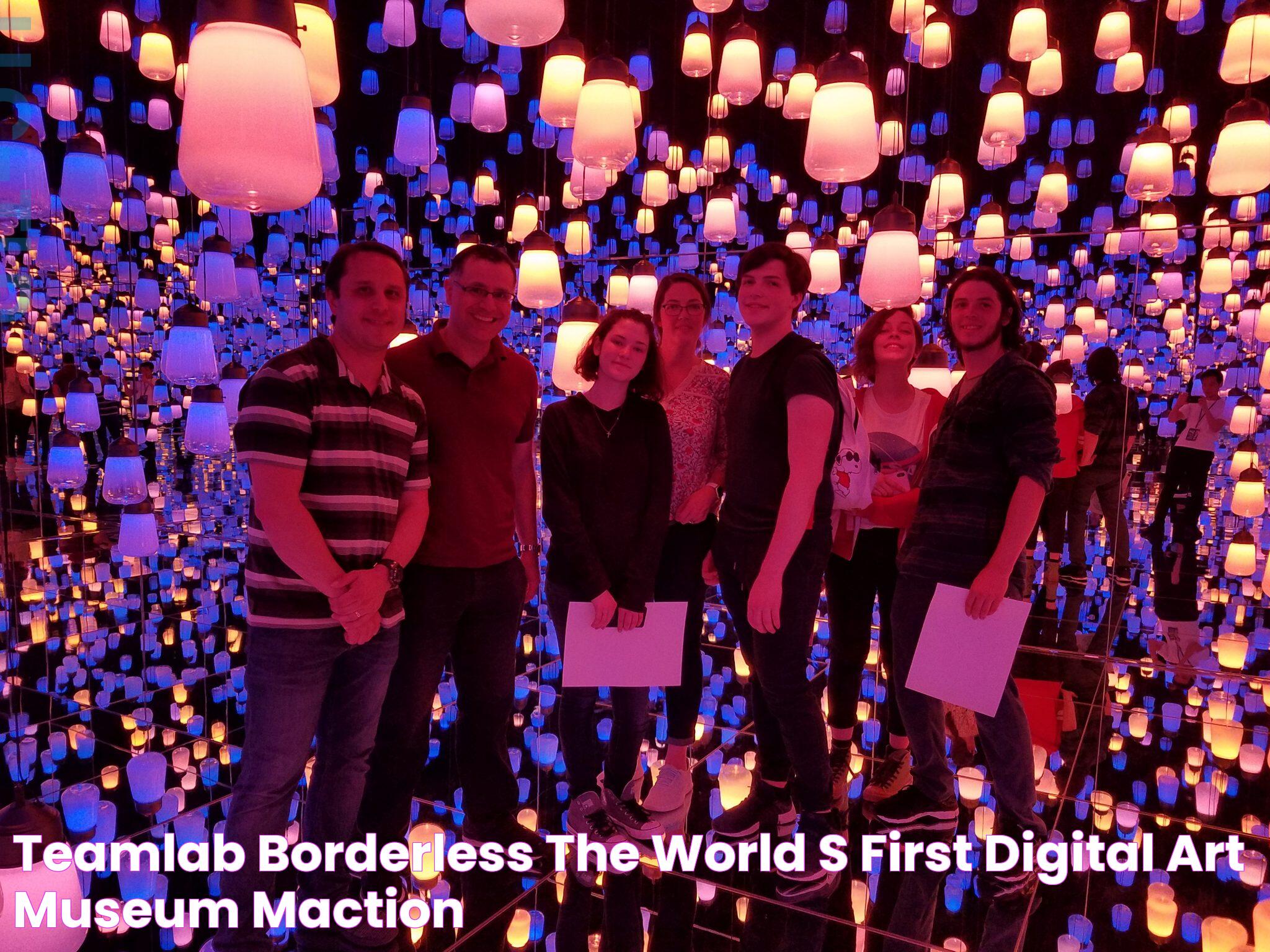 teamLab Borderless The world's first Digital Art Museum MACTION