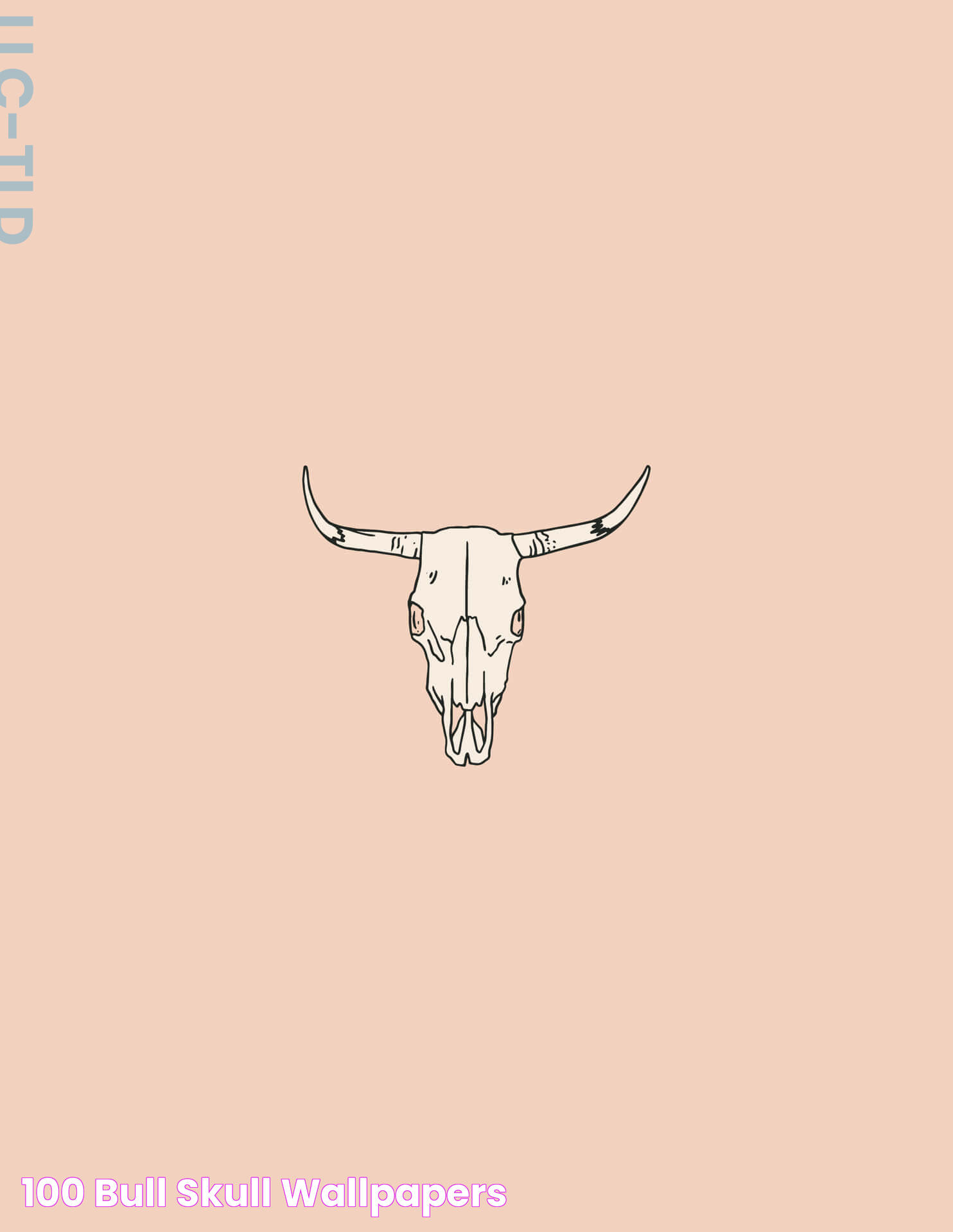 [100+] Bull Skull Wallpapers