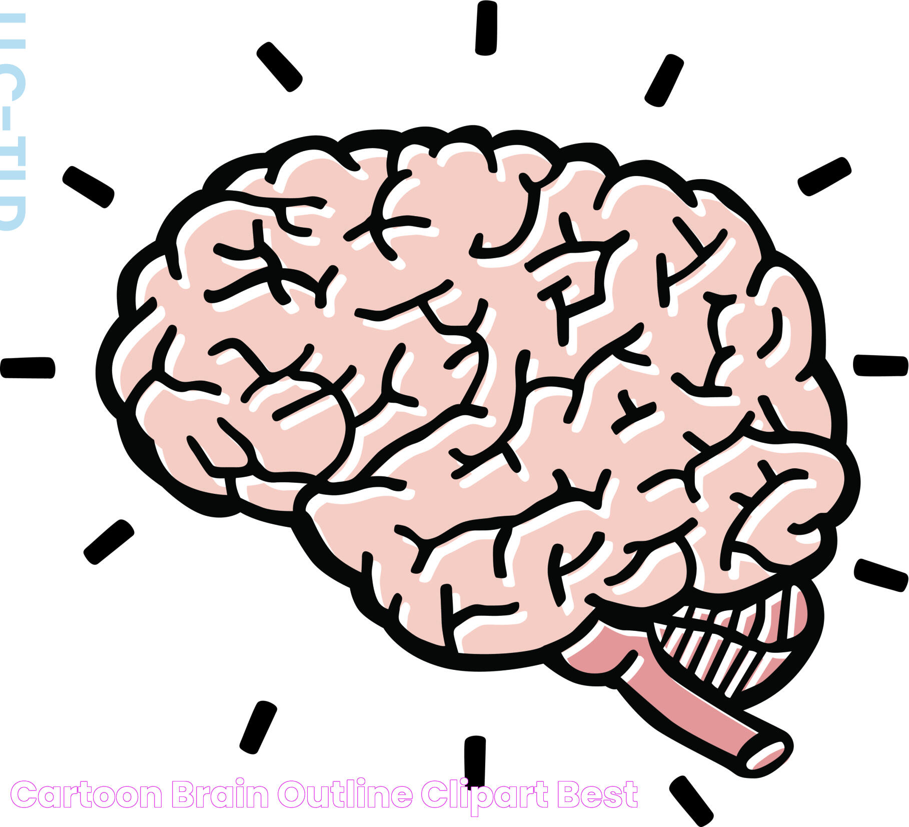 Cartoon Brain Outline ClipArt Best