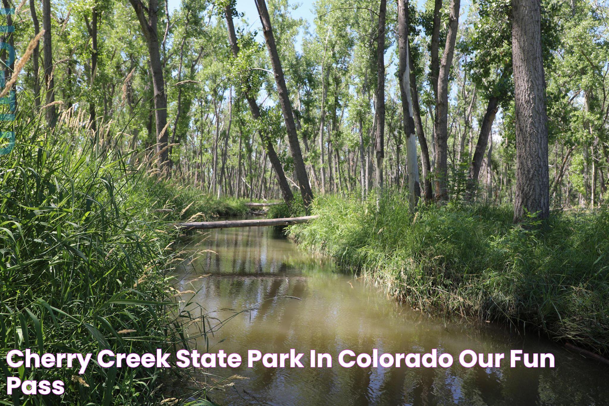 Cherry Creek State Park: A Natural Oasis In The Heart Of Colorado