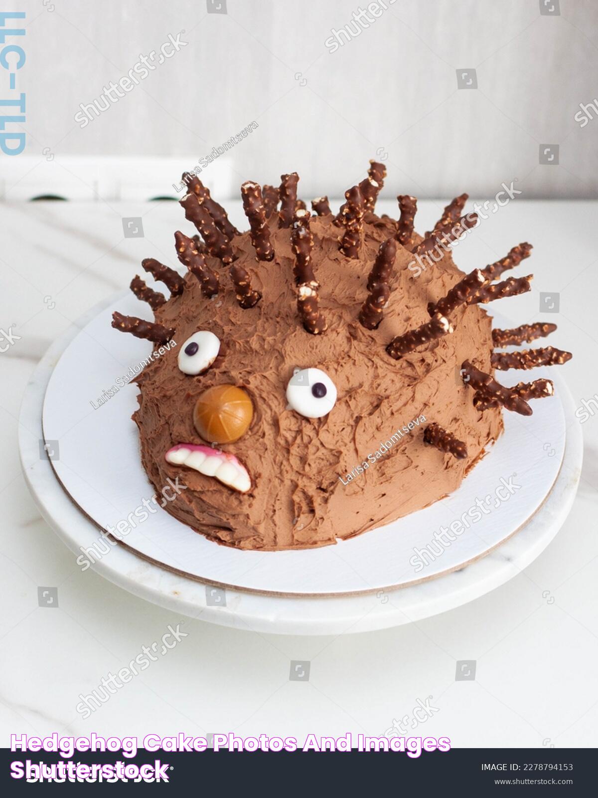 Delicious Hedgehog Cake Creations: A Sweet Treat For All Occasions