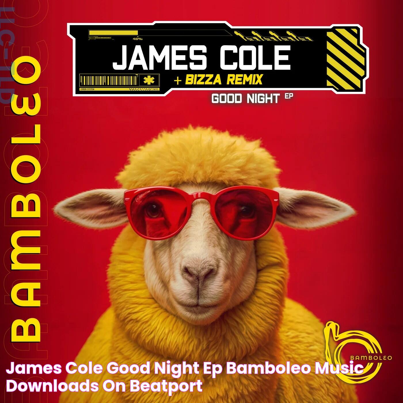 James Cole Good Night EP [Bamboleo] Music & Downloads on Beatport