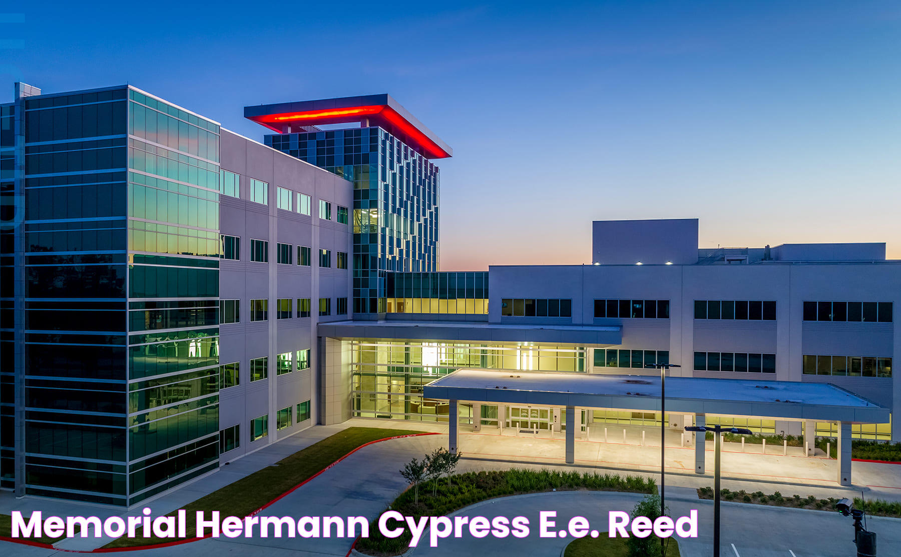 Hermann Cypress: A Blend Of Culture And Nature