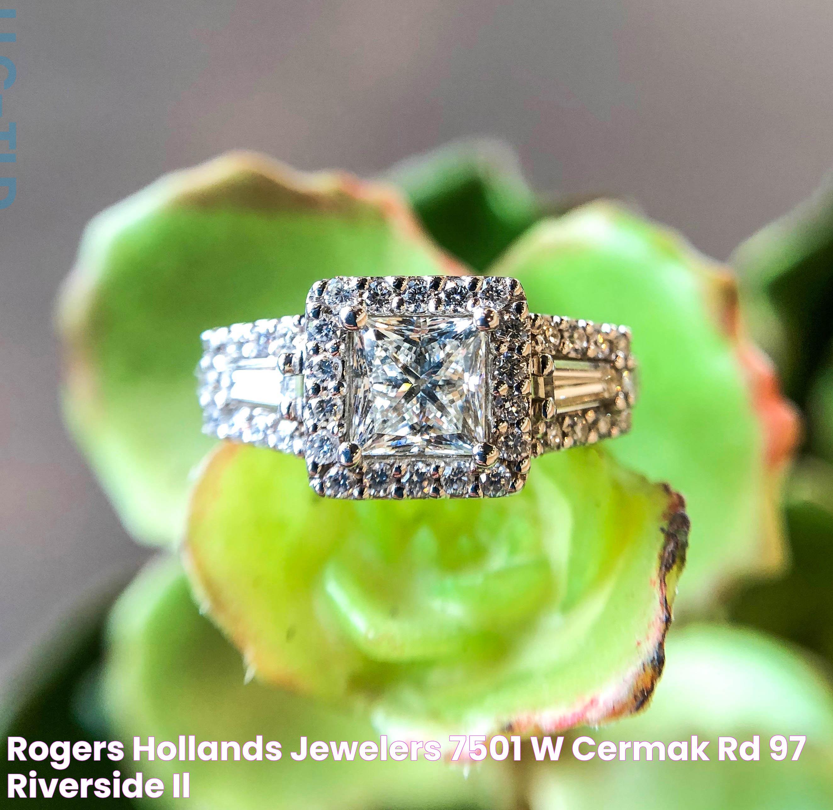 Rogers & Hollands® Jewelers, 7501 W Cermak Rd, 97, Riverside, IL