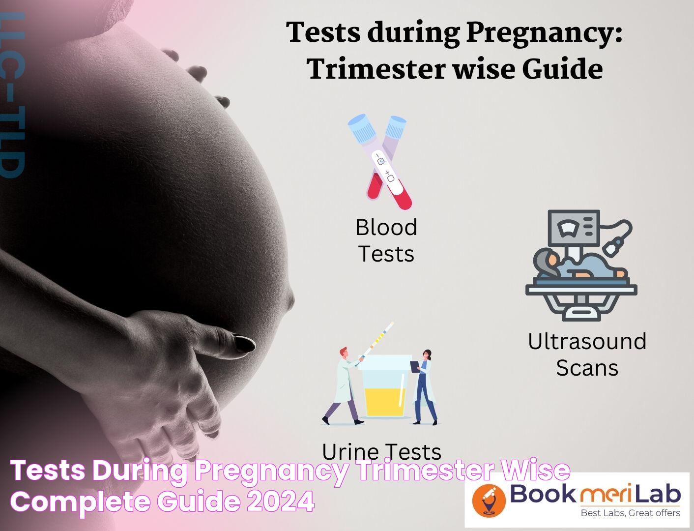 The Ultimate Guide To Pregnancy Tests: How To Know If You're Expecting