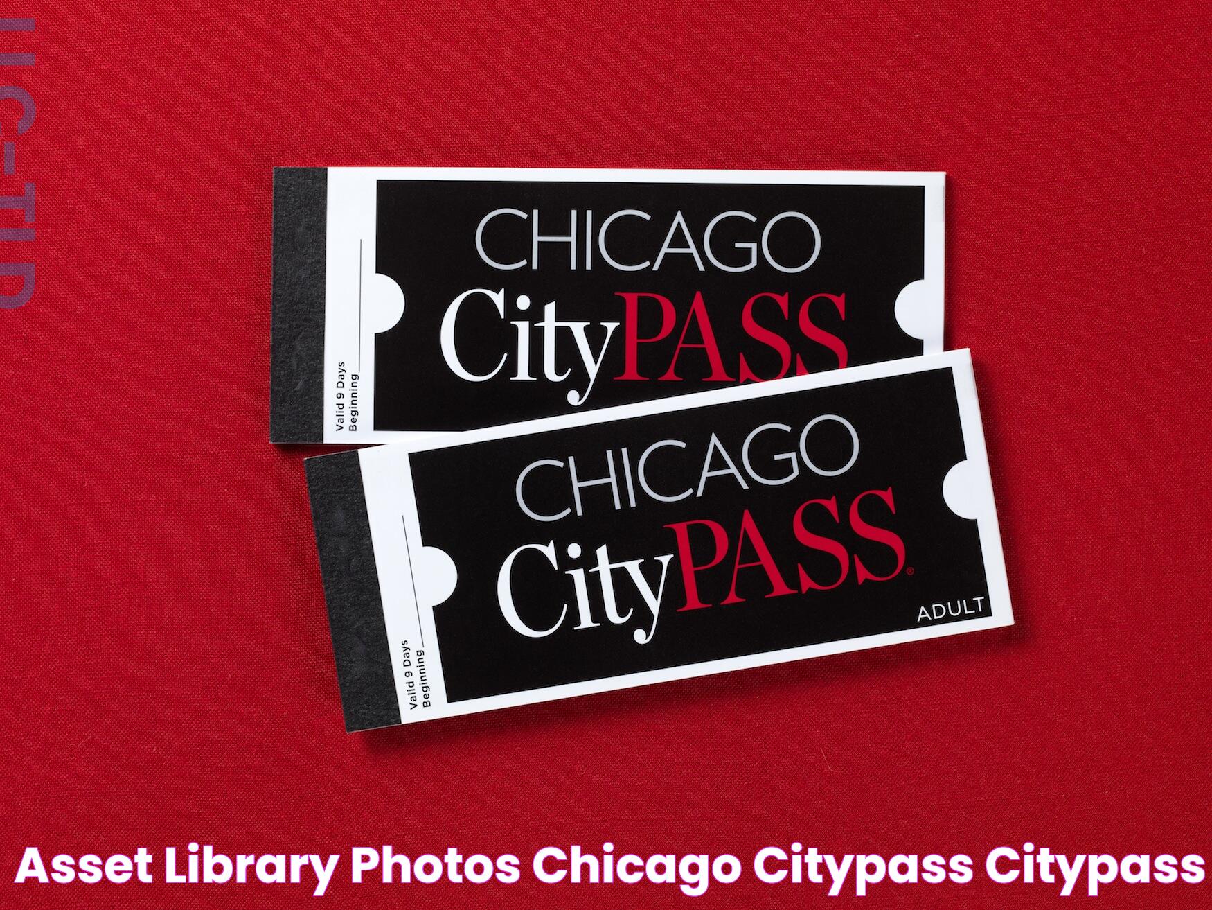 Asset Library Photos Chicago CityPASS CityPASS®