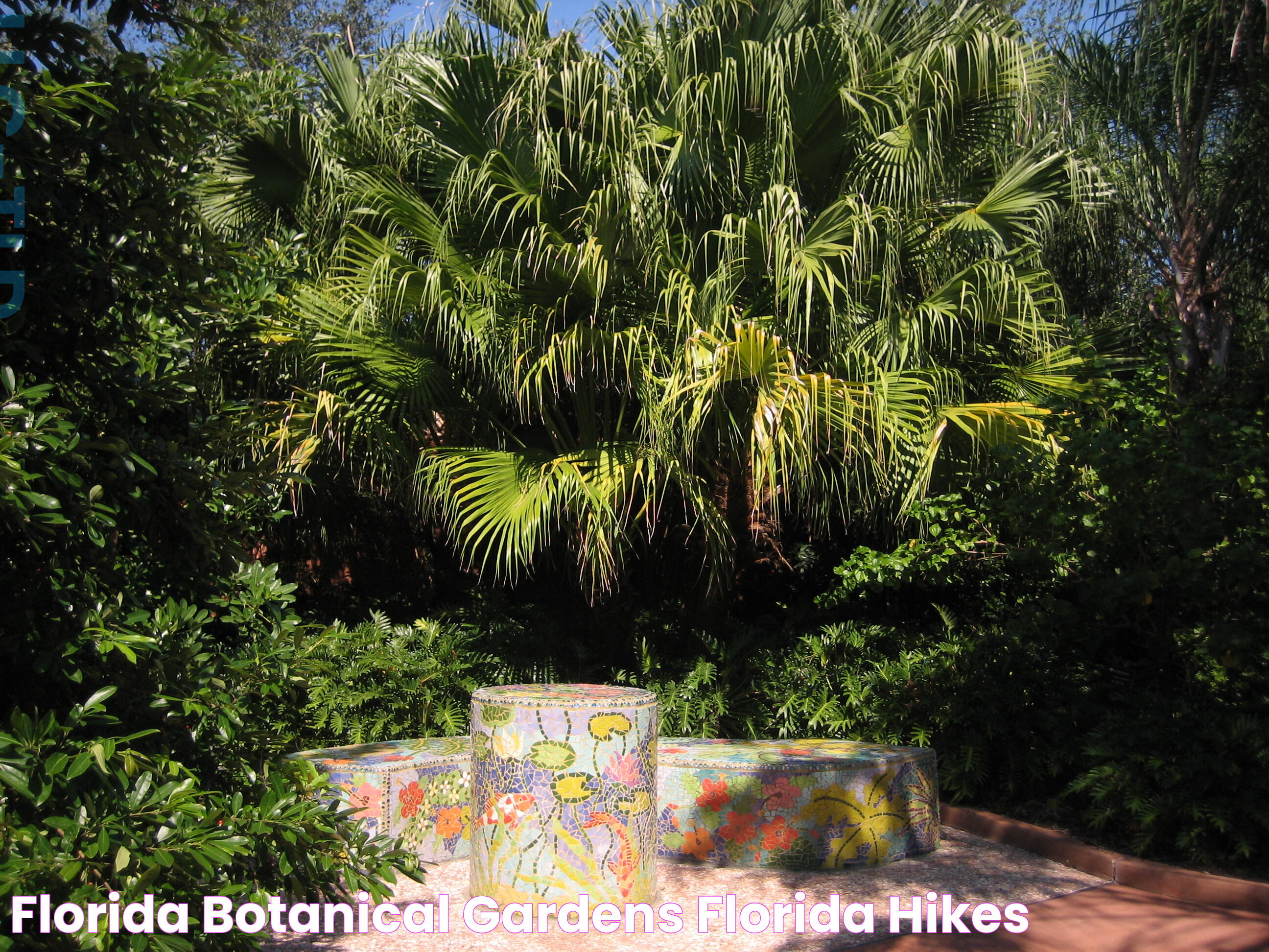 Florida Botanical Gardens Florida Hikes!