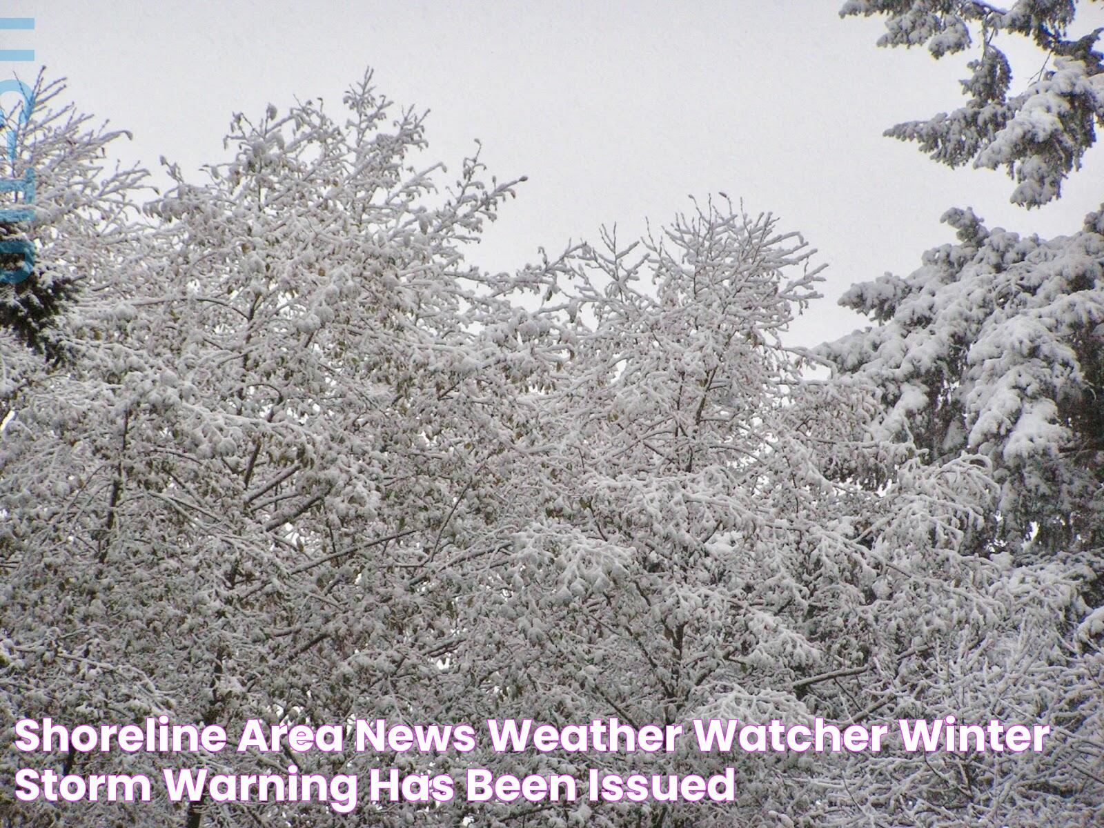 Shoreline Area News Weather Watcher Winter Storm Warning has been issued