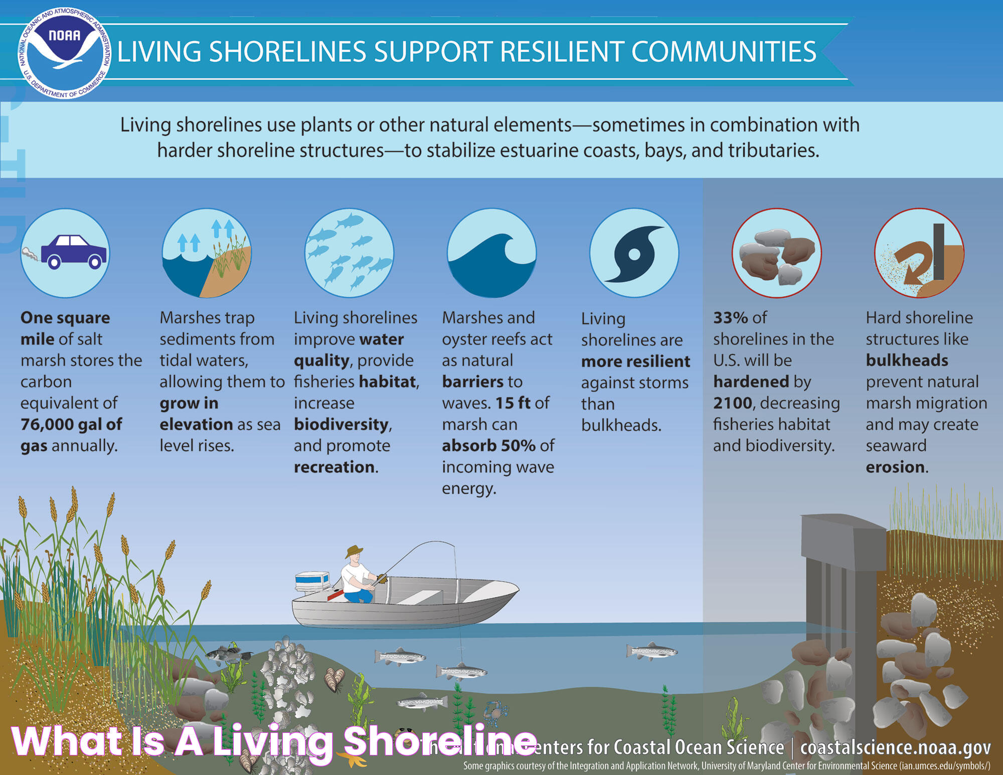 Shoreline Weather: An In-Depth Look At Coastal Climates