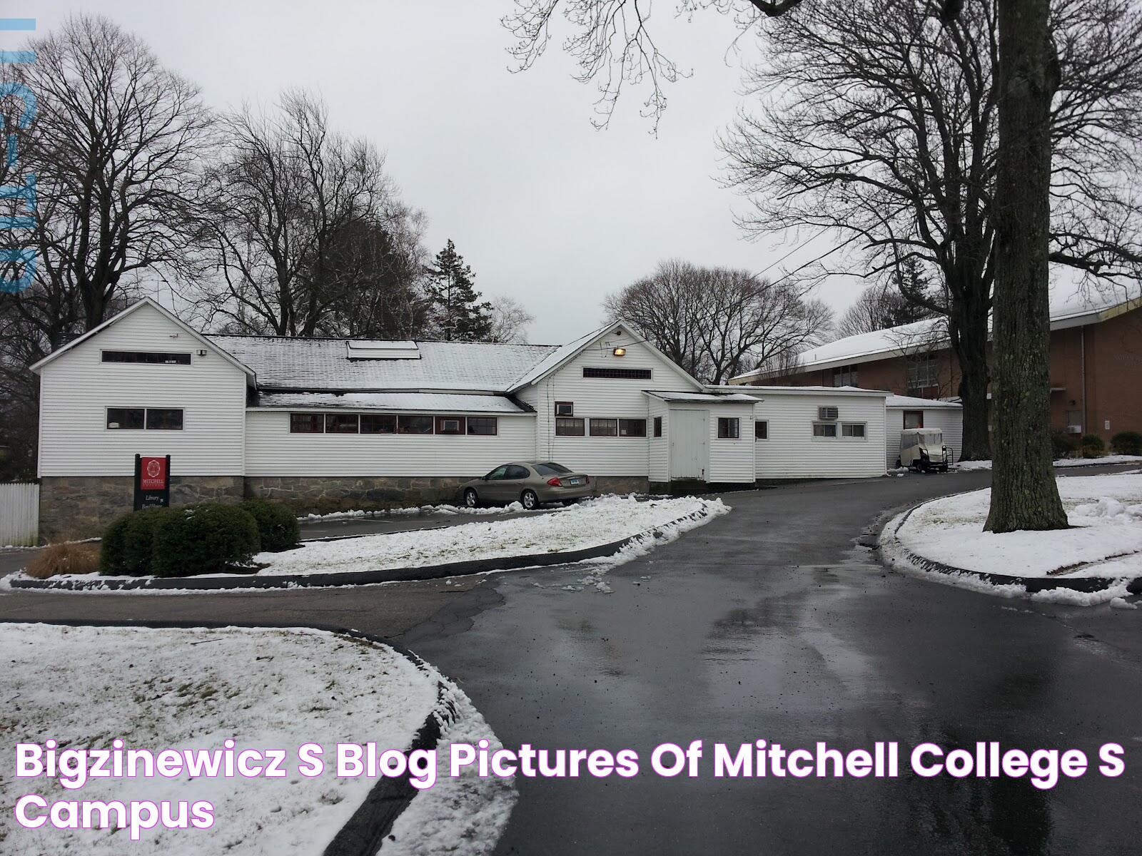 Mitchell College: A Premier Destination For Higher Learning