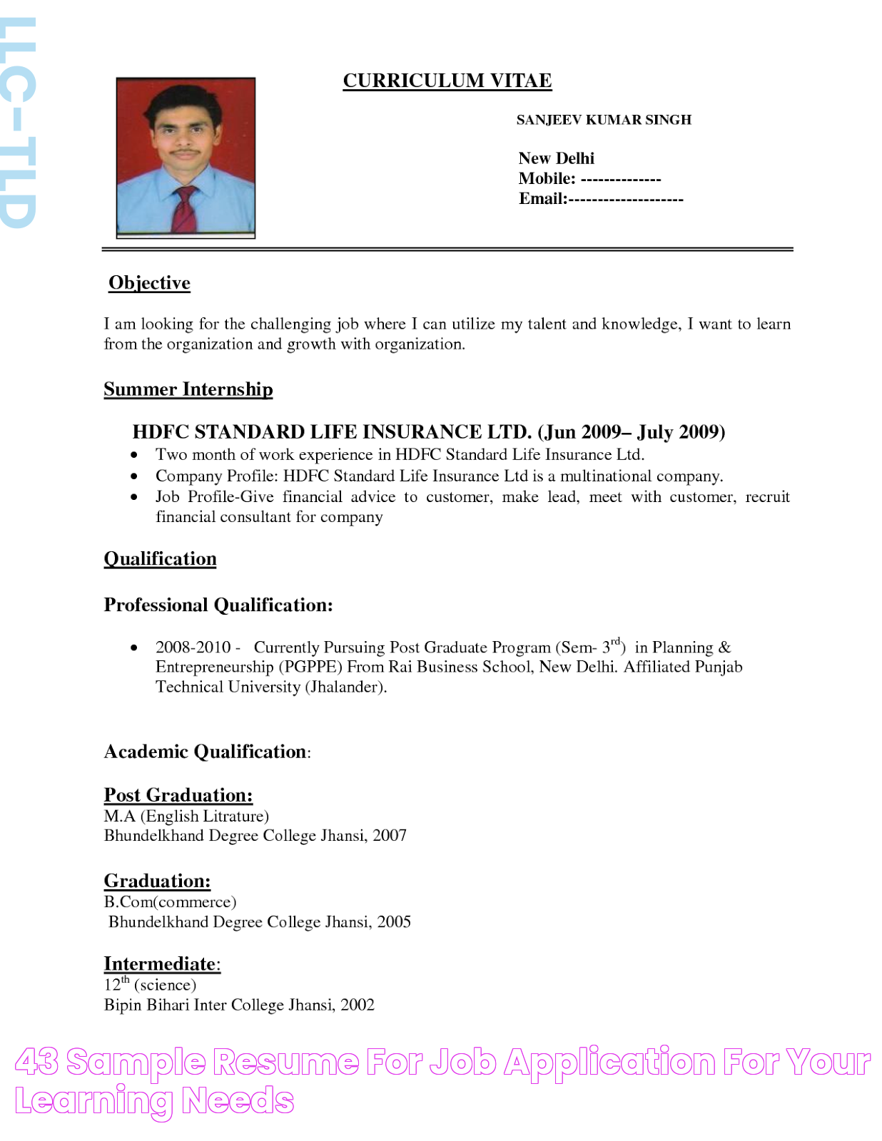 43+ Sample resume for job application For Your Learning Needs