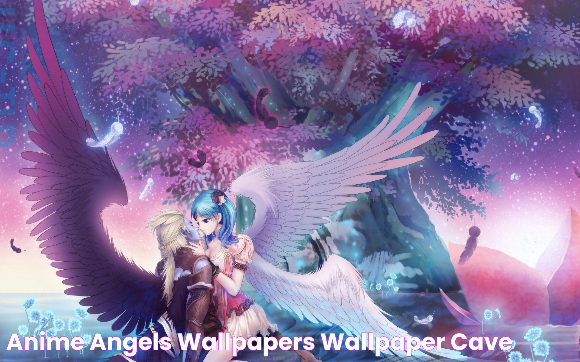 Anime Angels Wallpapers Wallpaper Cave