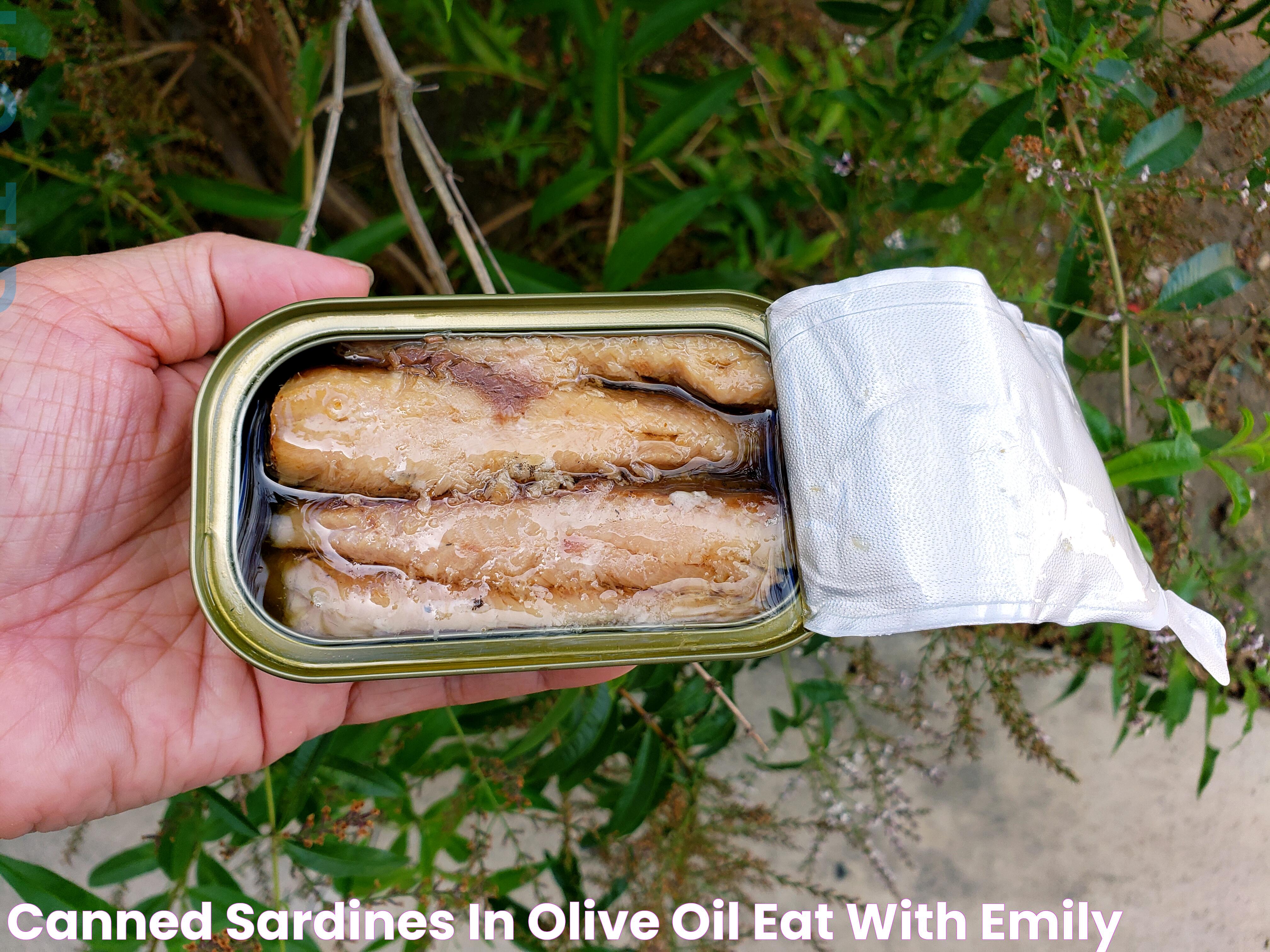 Canned Sardines In Olive Oil Eat With Emily