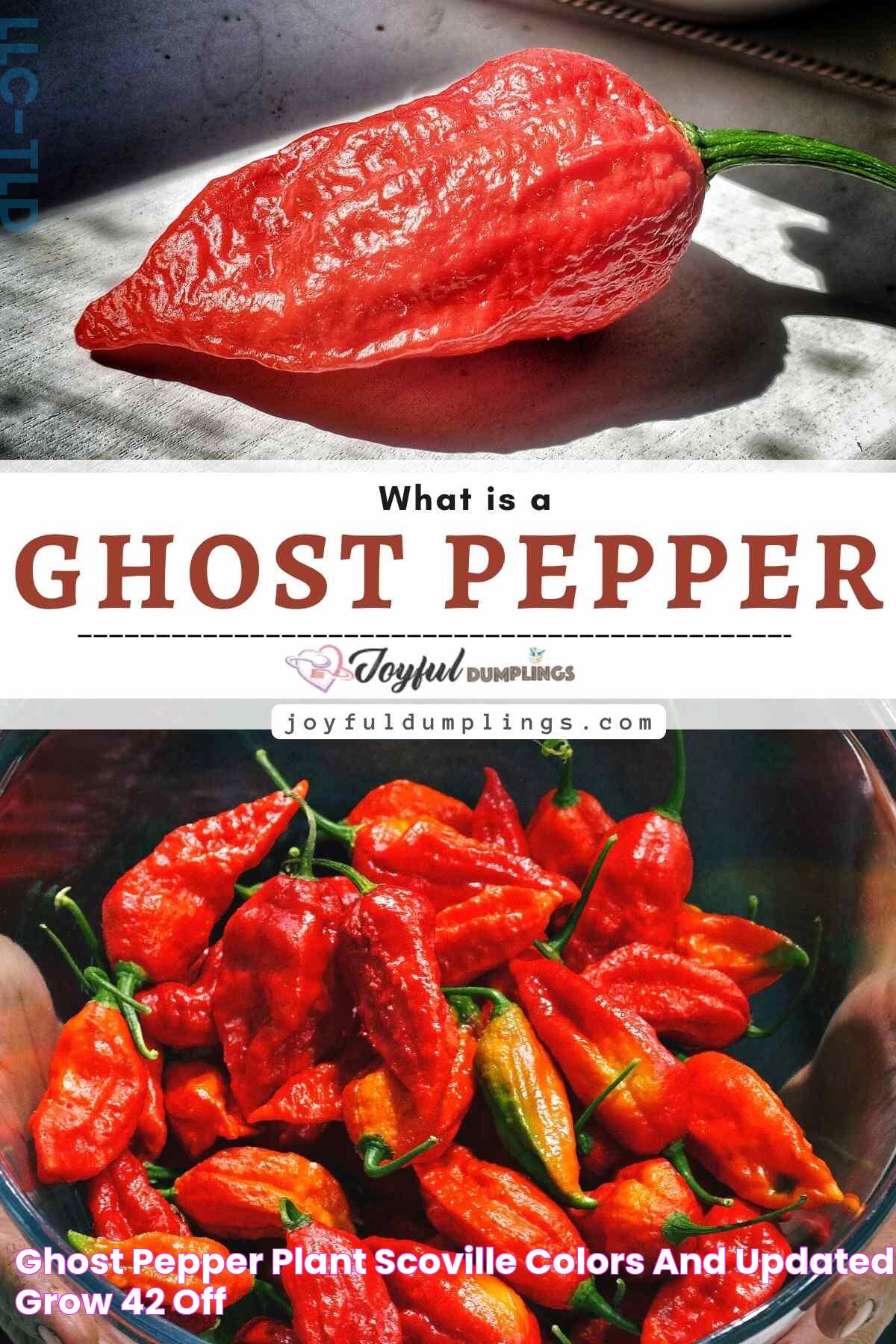 Ghost Pepper Spicy Scale: A Fiery Examination