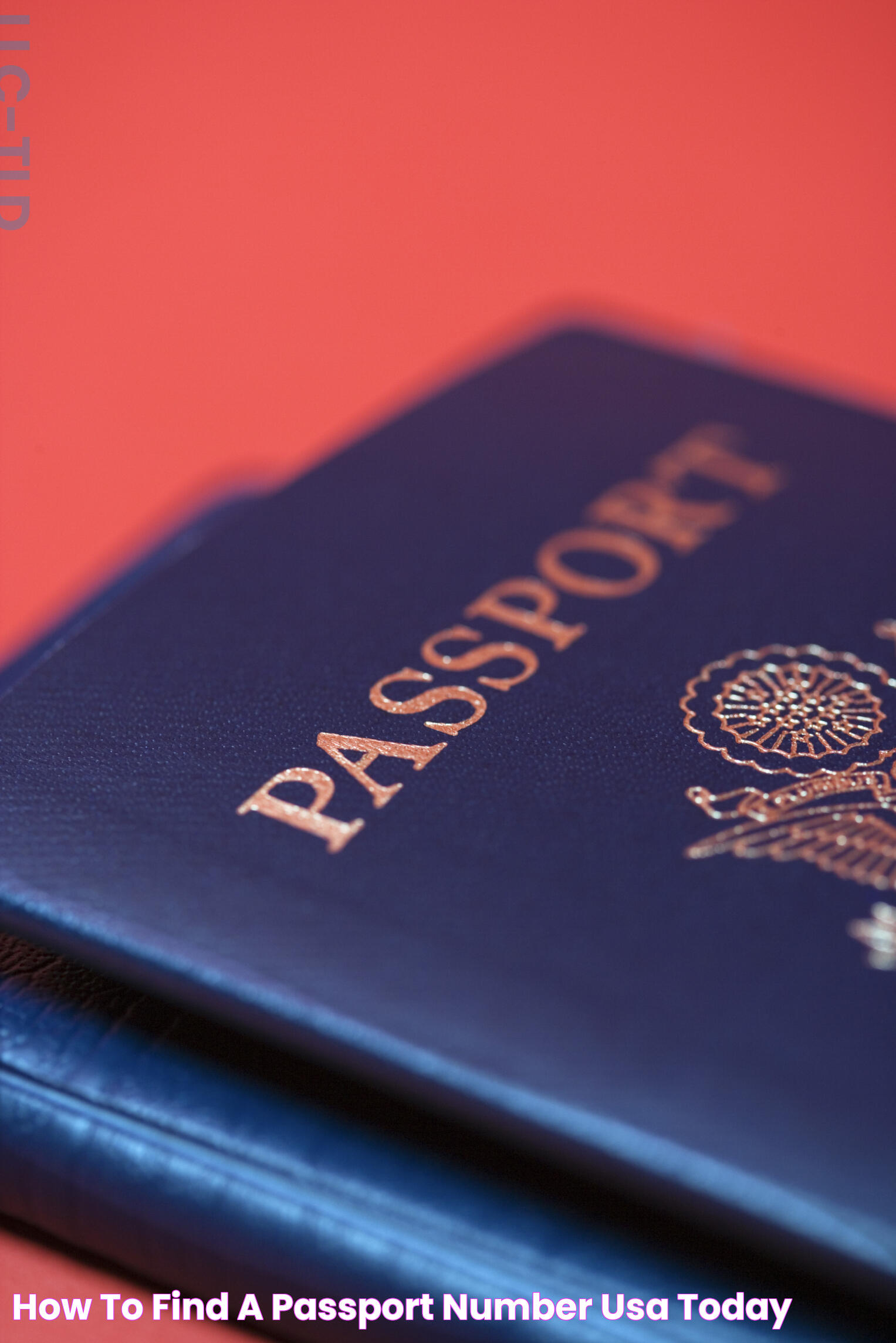 How to Find a Passport Number USA Today