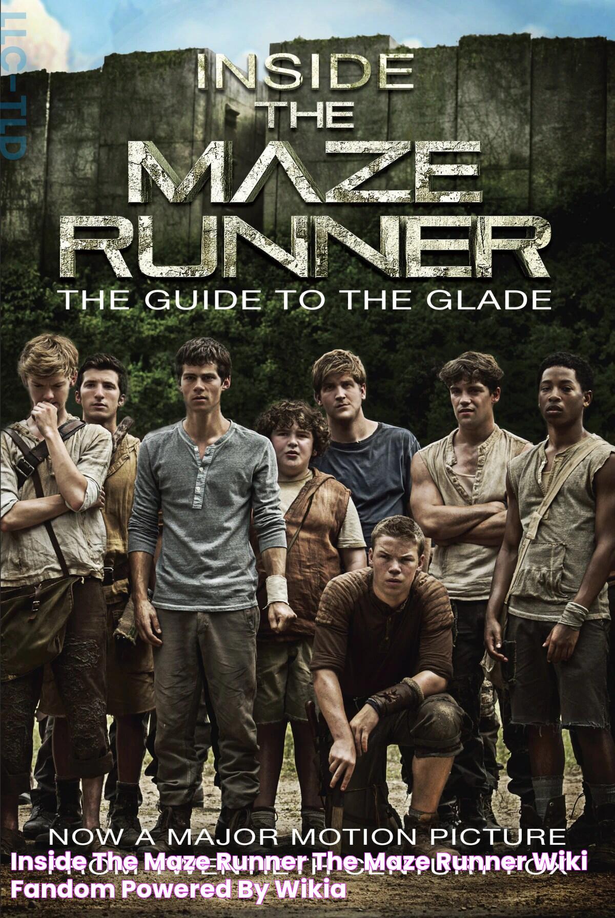 Inside the Maze Runner The Maze Runner Wiki FANDOM powered by Wikia