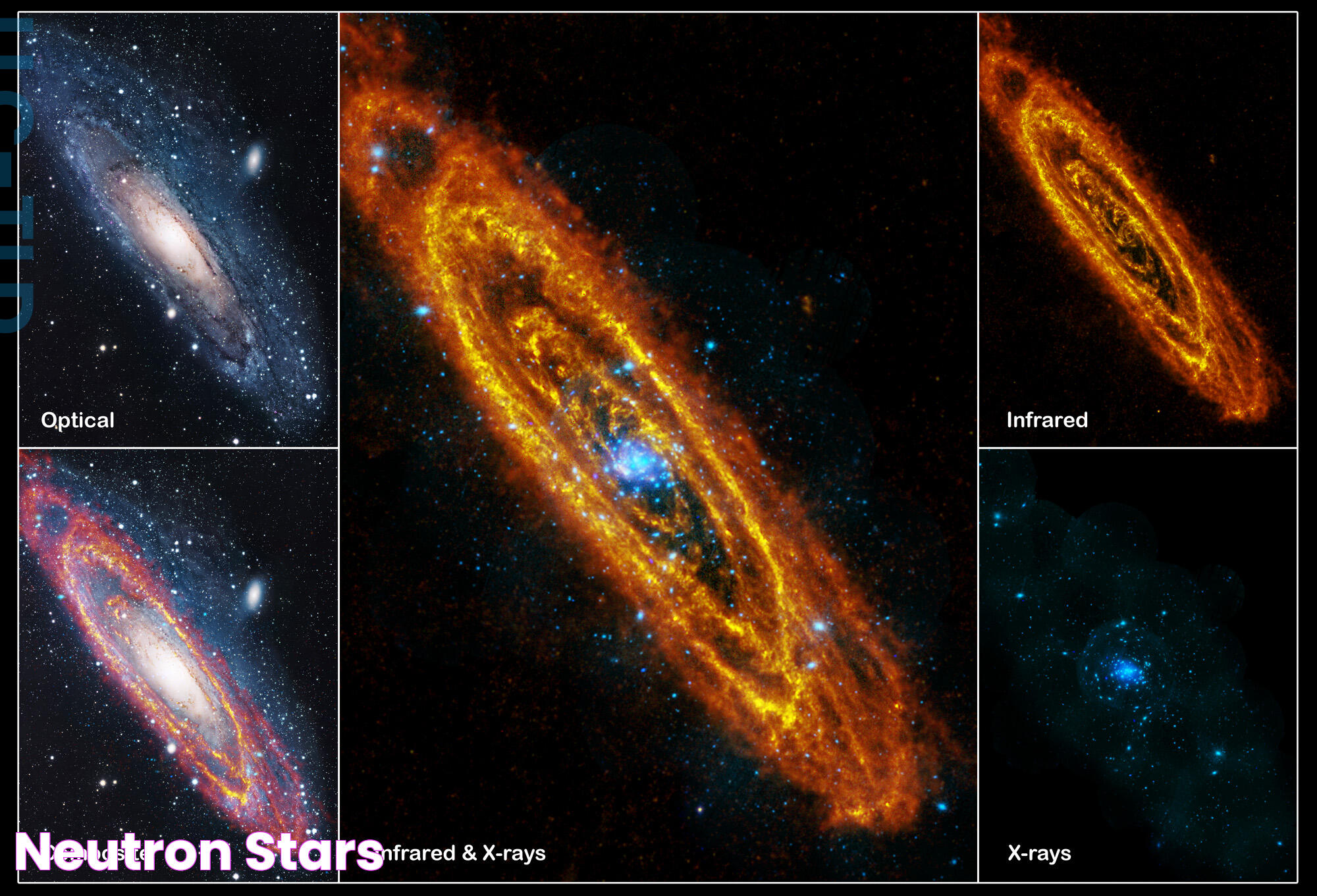 Understanding The Precise Mass Of A Neutron: Insights And Implications