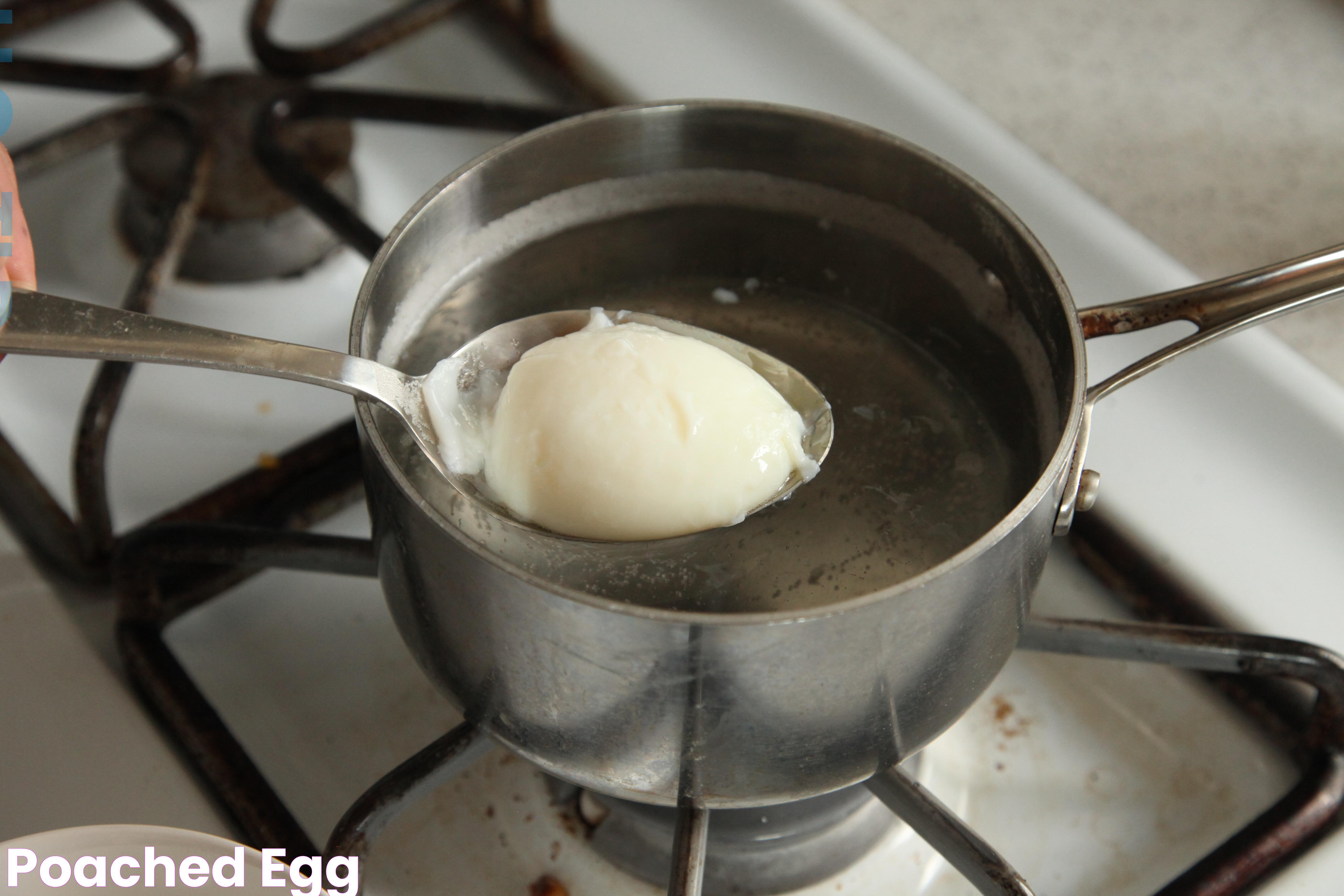 Poached Egg