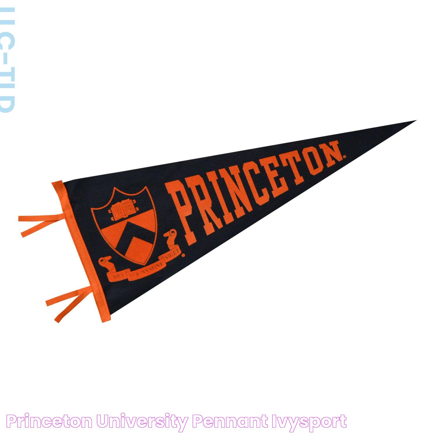 Princeton University Pennant Ivysport