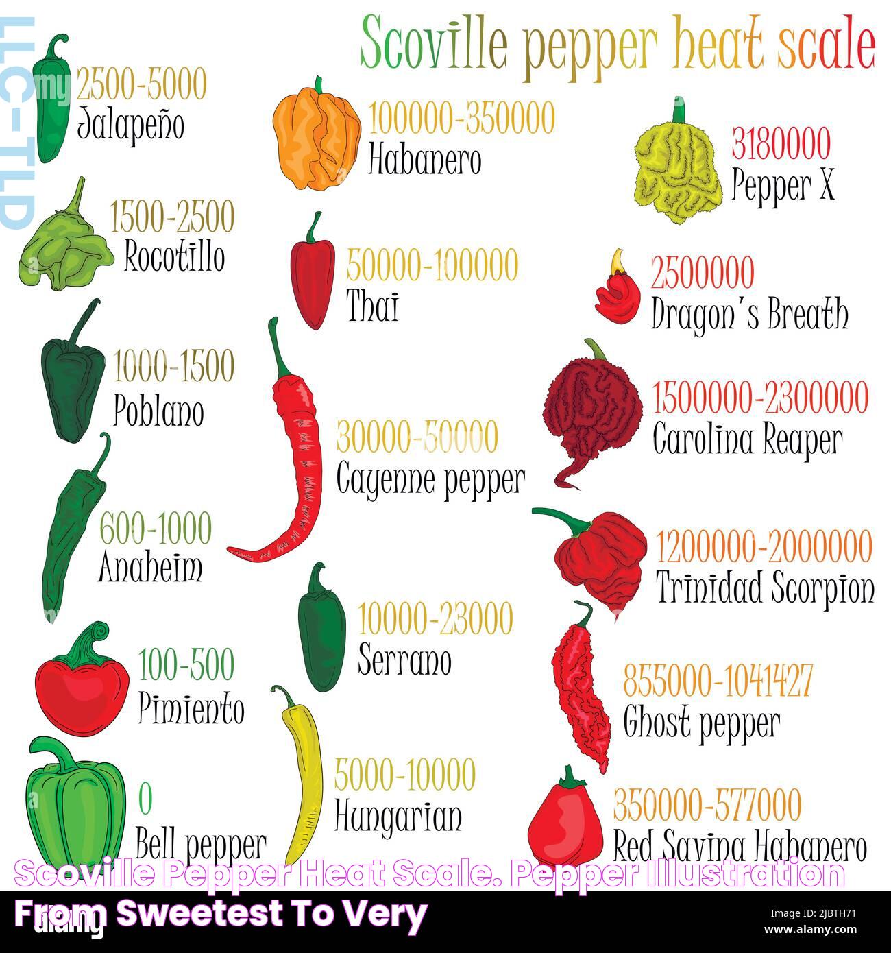 Scoville pepper heat scale. Pepper illustration from sweetest to very