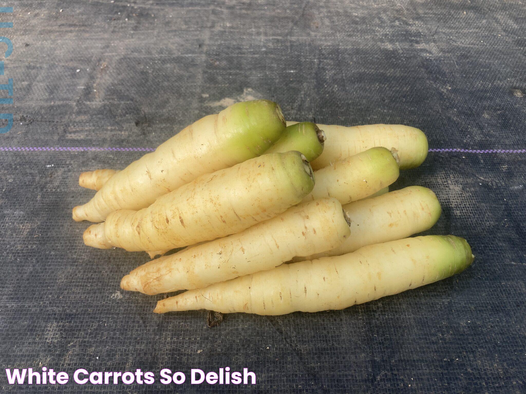 Secrets Of White On Carrots: From Causes To Solutions