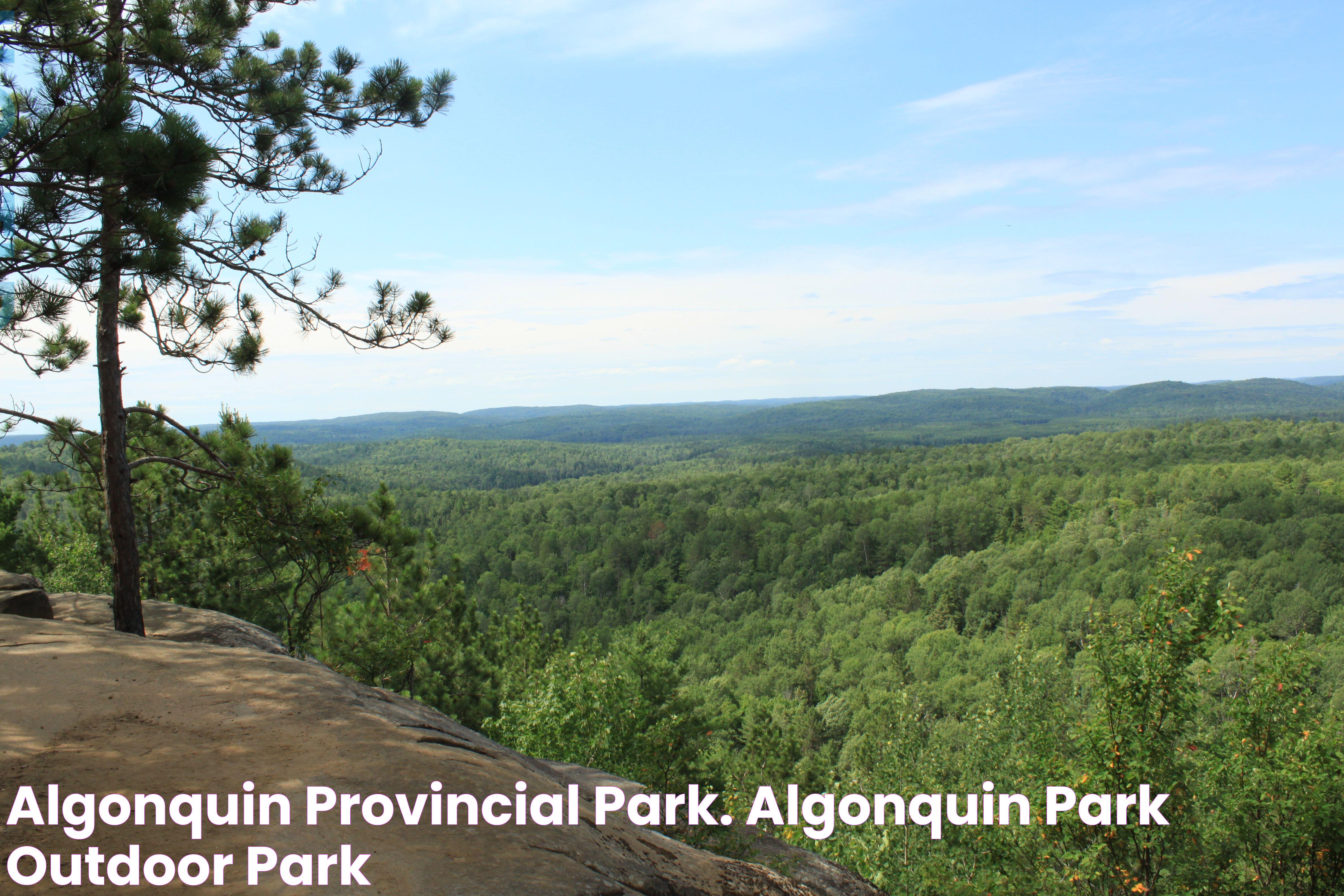 Algonquin Provincial Park. Algonquin park, Outdoor, Park