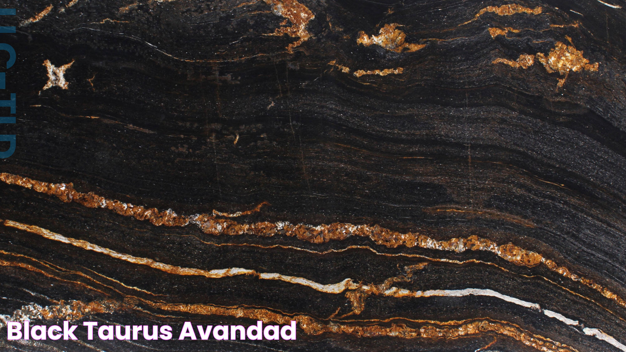 Black Taurus AVANDAD