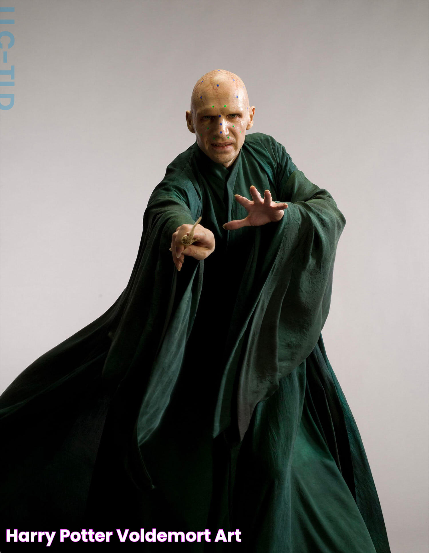 The Actor Behind Voldemort In Harry Potter Films: A Deep Dive