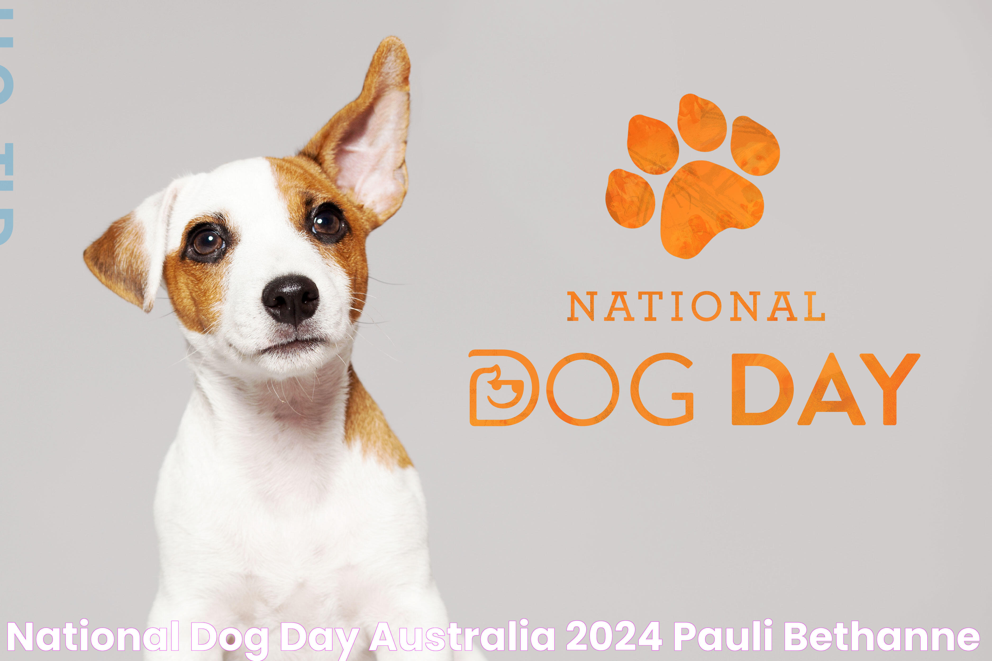 Celebrate National Dog Day: A Tribute To Our Four-Legged Friends