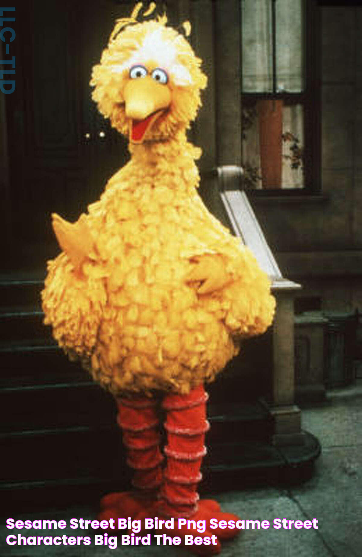 Sesame Street Snuffy Big Bird: Delightful Duo Of Childhood Memories