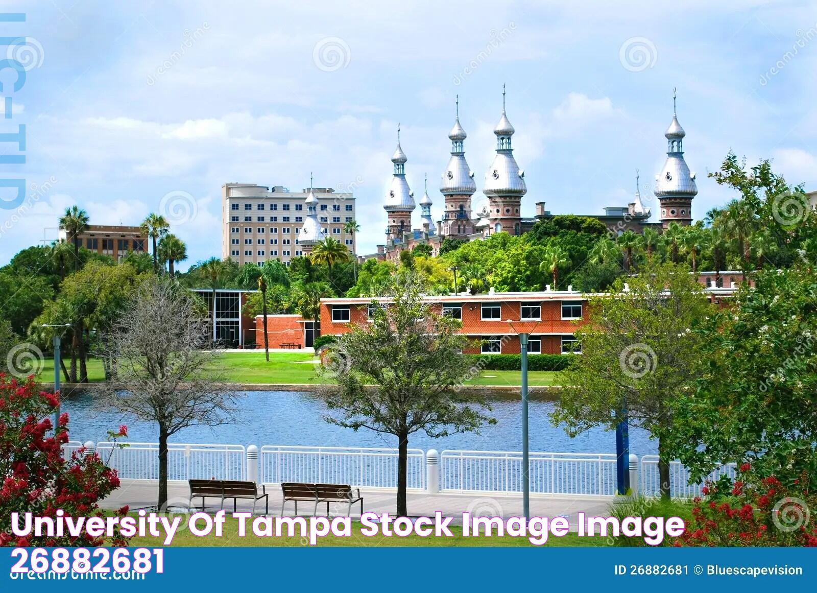 University Of Tampa Stock Image Image 26882681