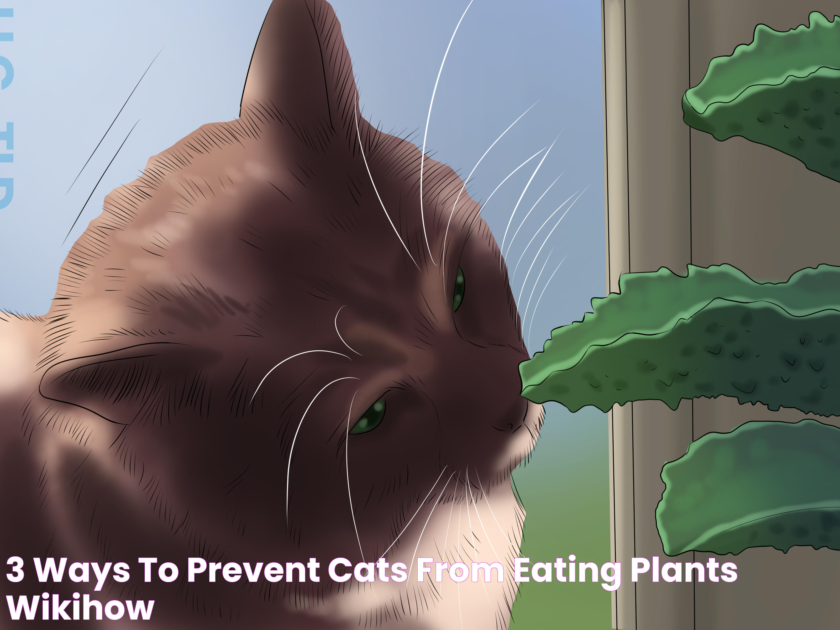 Effective Plants To Prevent Cats: A Homeowner's Guide