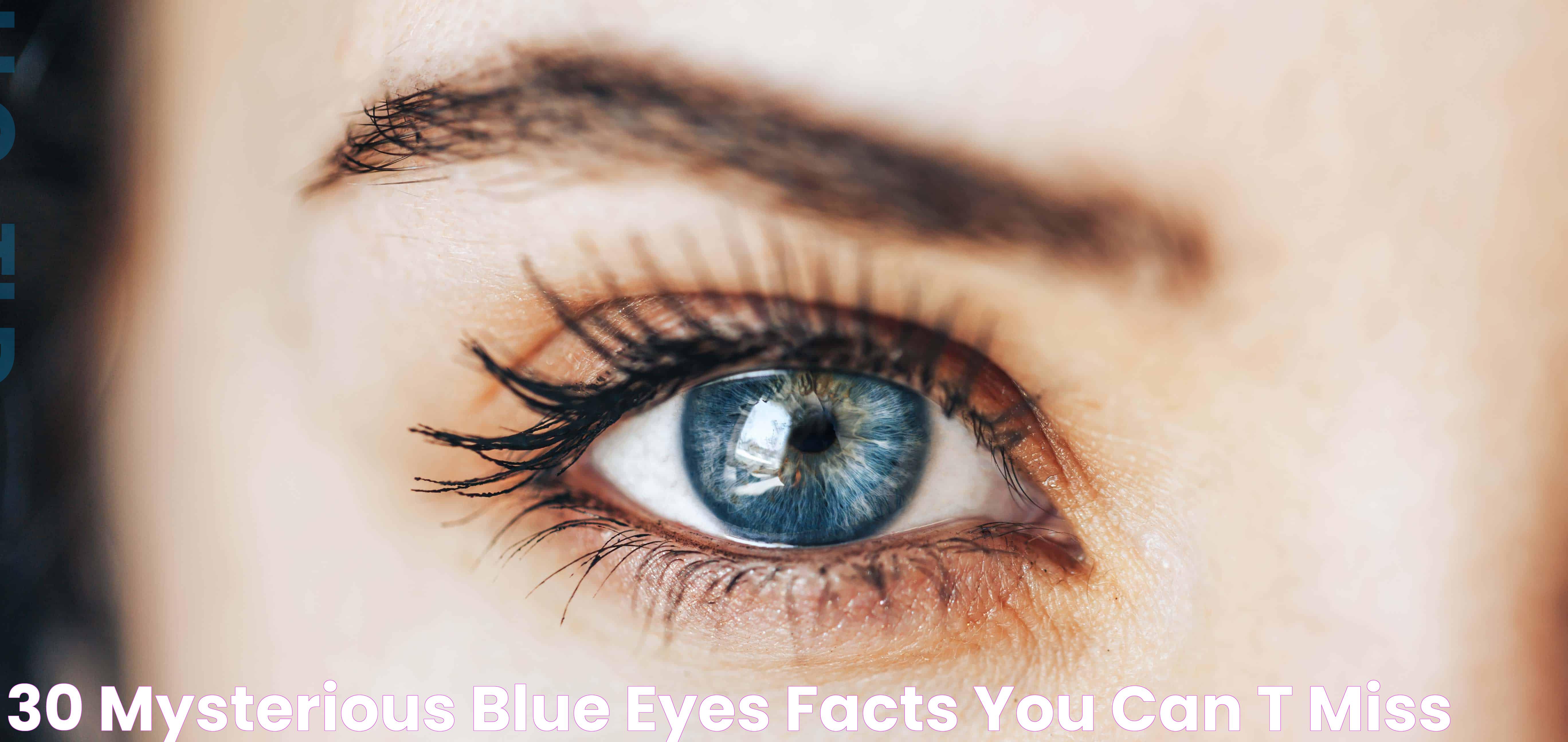 Intriguing Facts: What Percentage Of Humans Have Blue Eyes?