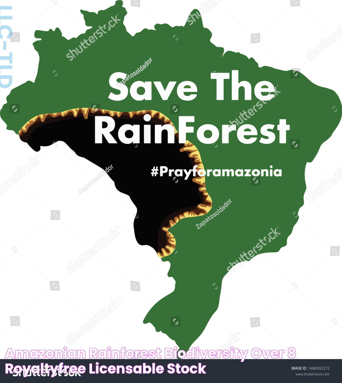 Amazonian Rainforest Biodiversity Over 8 RoyaltyFree Licensable Stock