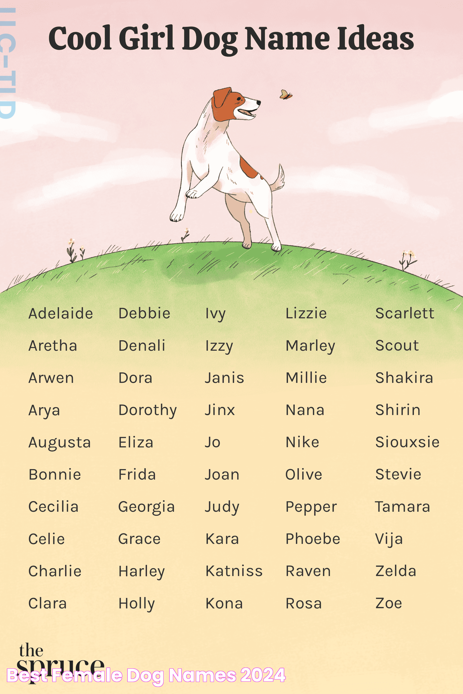 Top Choices: Best Dog Names Female For Your Furry Friend