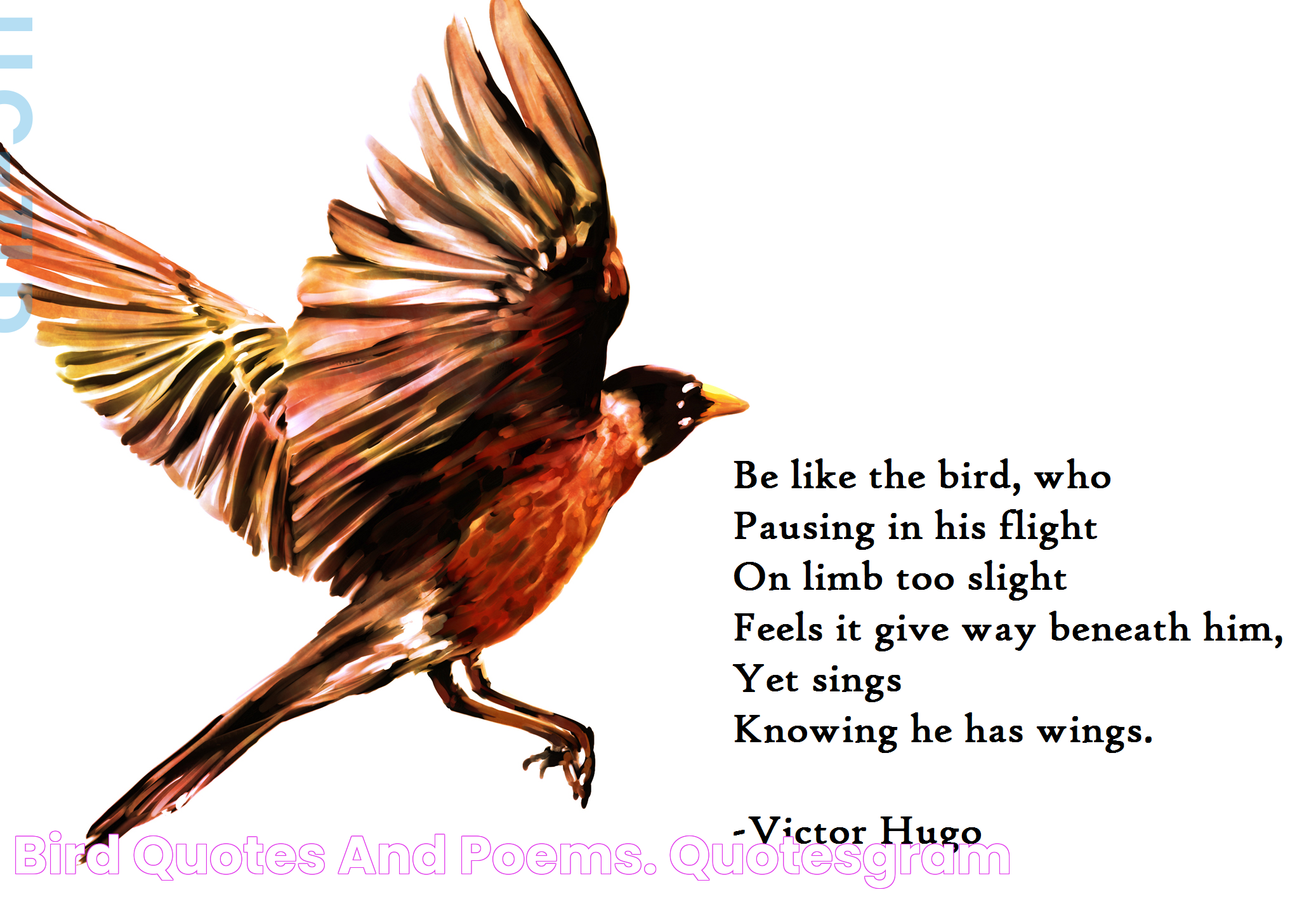 Inspiring Bird Quotes: Soaring Wisdom And Nature's Lessons