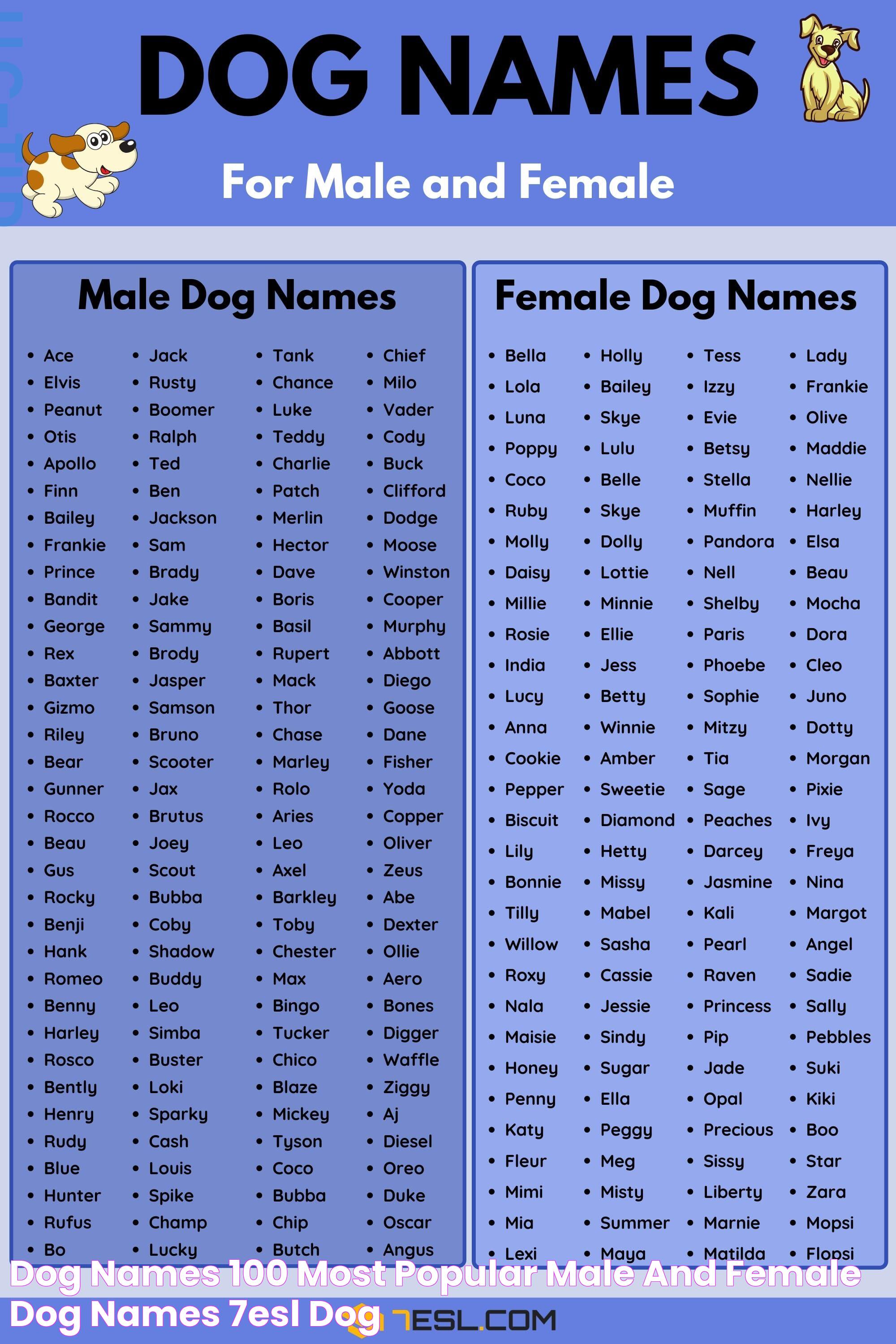 Dog Names 100+ Most Popular Male and Female Dog Names • 7ESL Dog