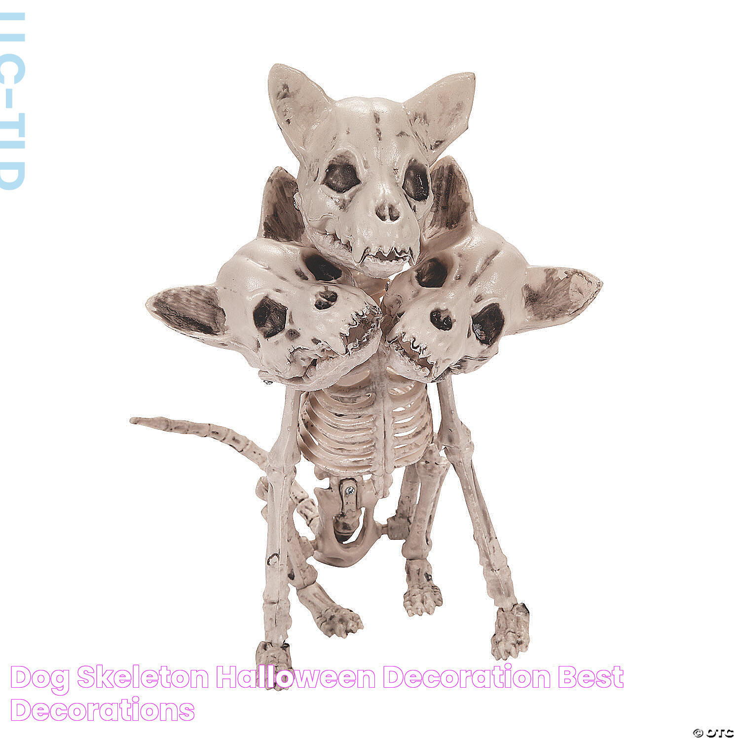 Dog Skeleton Halloween Decoration Best Decorations