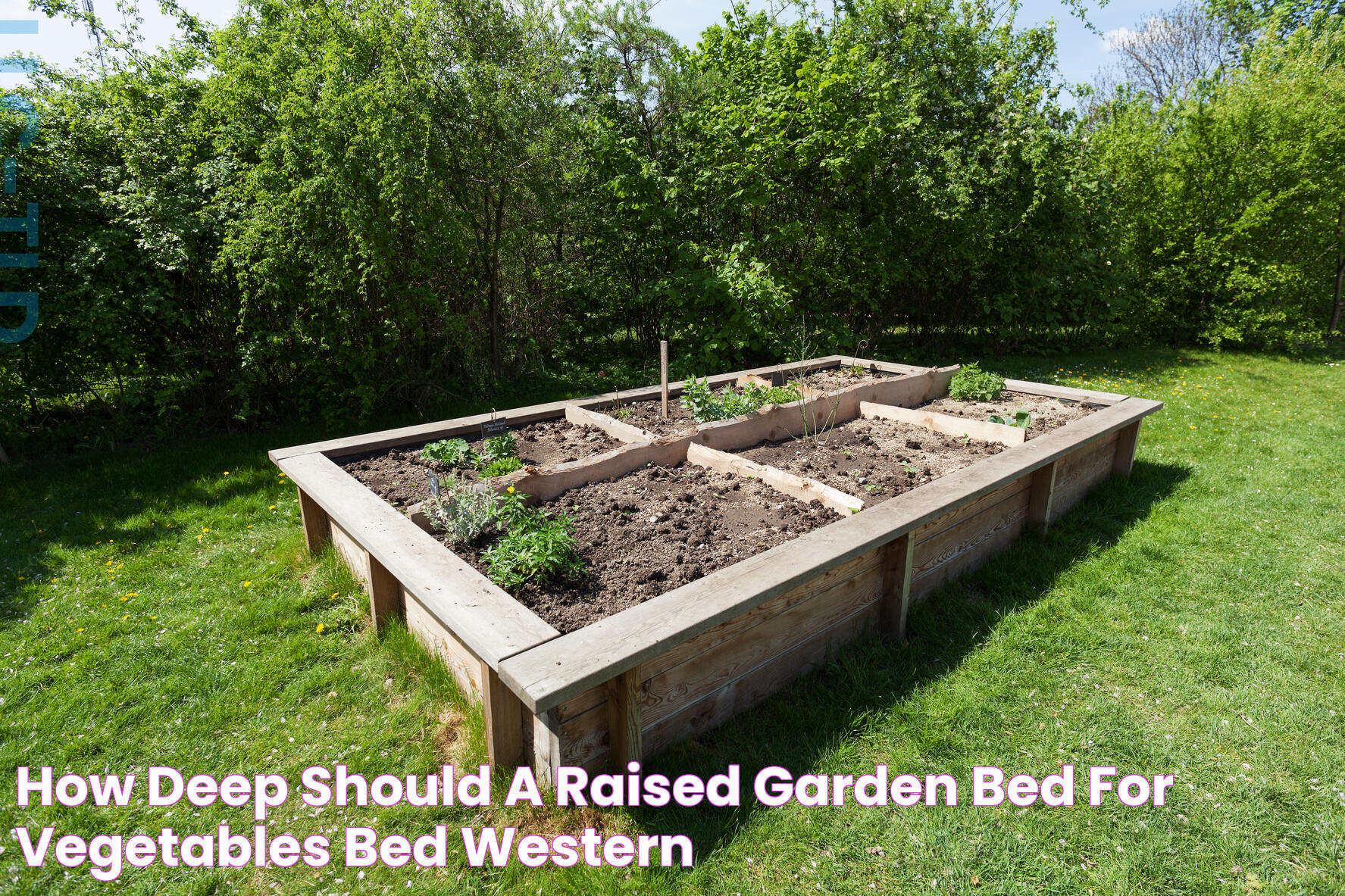 Optimizing Your Garden: How Deep Should A Raised Bed Be?