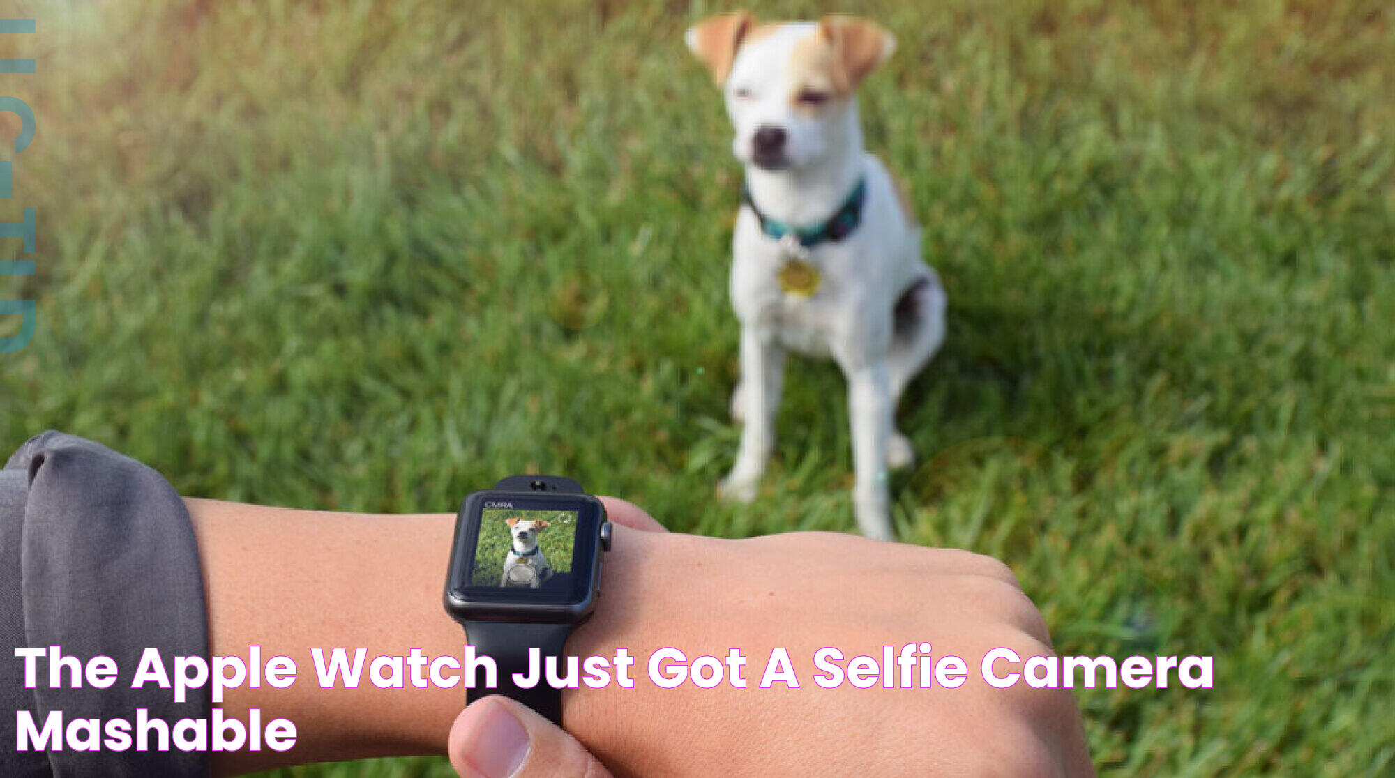 The Apple Watch just got a selfie camera Mashable