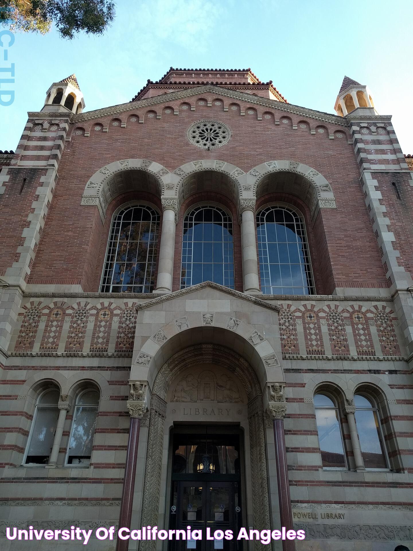 University of California, Los Angeles