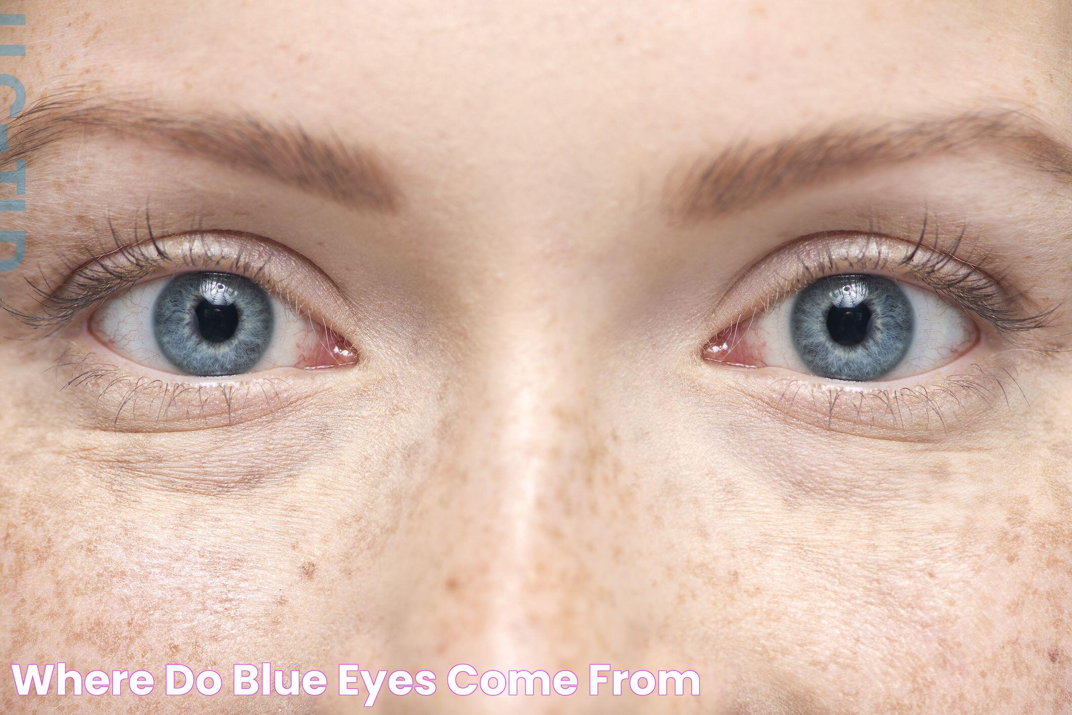 Where Do Blue Eyes Come From?